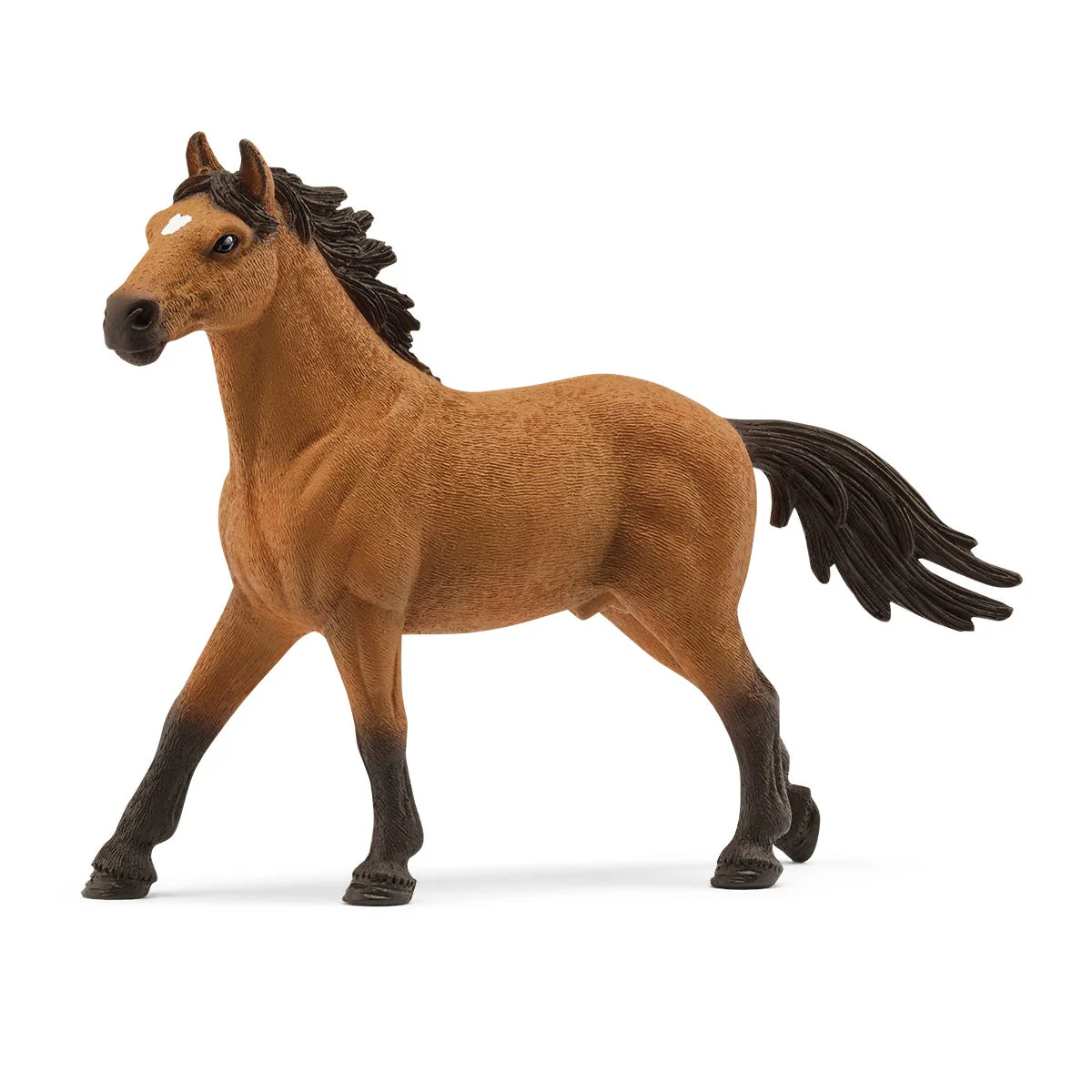 5-Piece Horse Show Bundle - Image 2