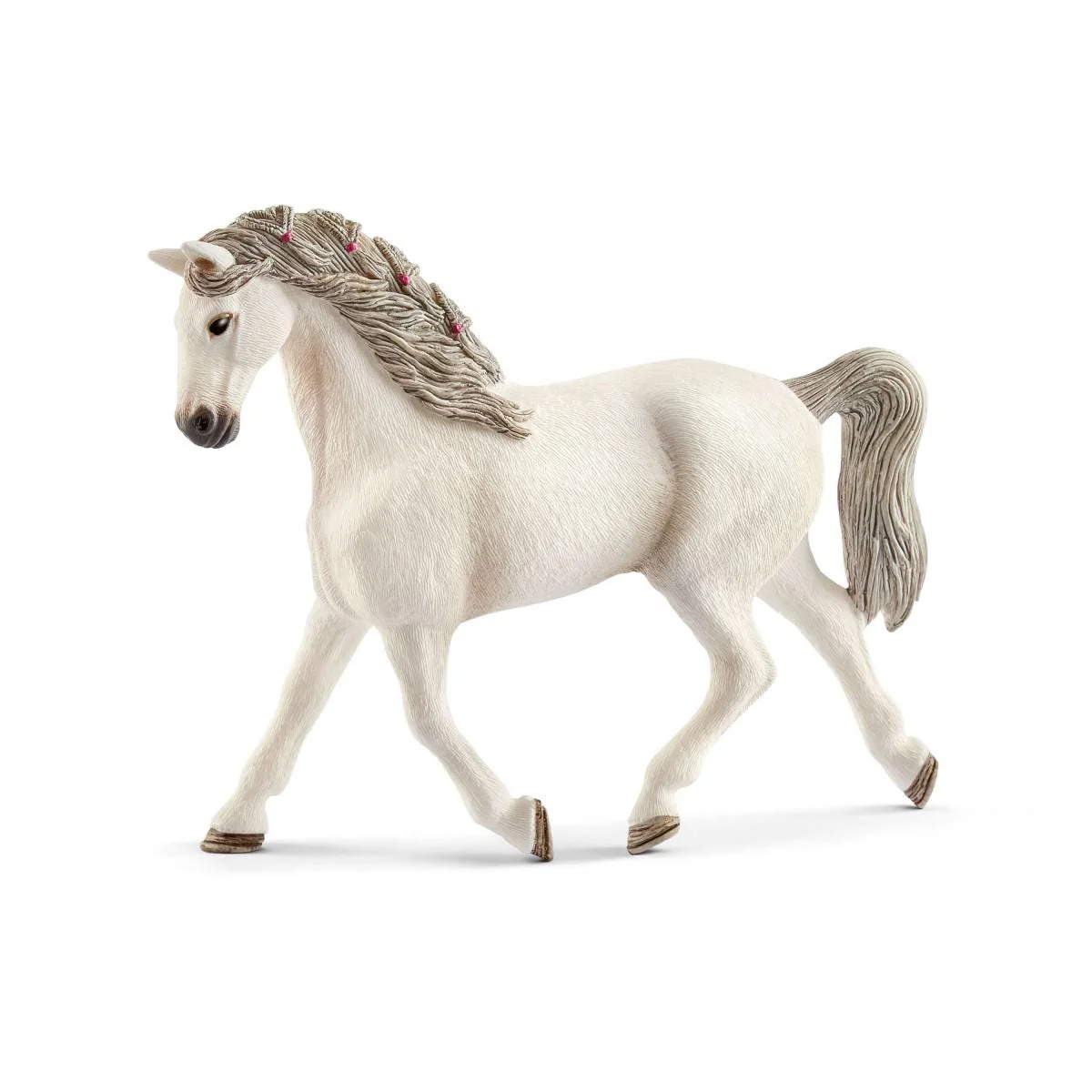 5-Piece Horse Show Bundle - Image 4