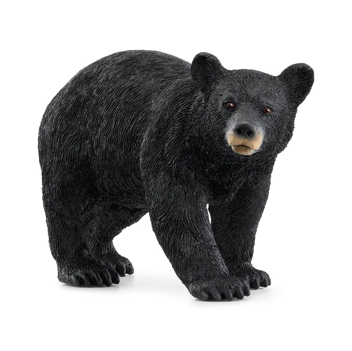 5-Piece North American Woodland Bundle - Image 4