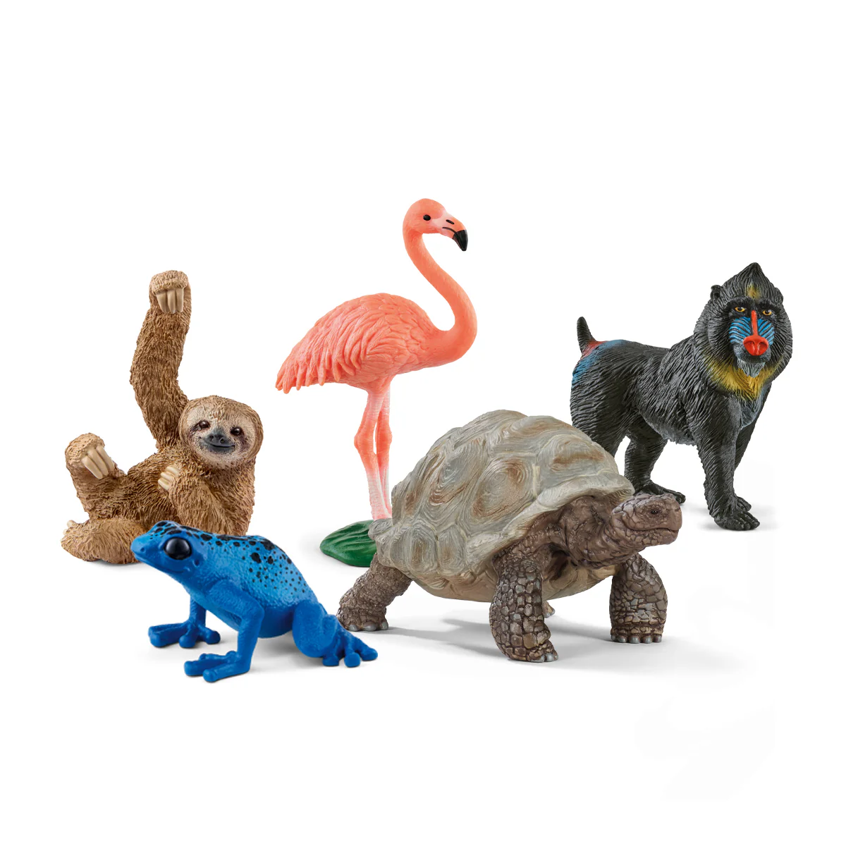 5-Piece Wild Animal Bundle