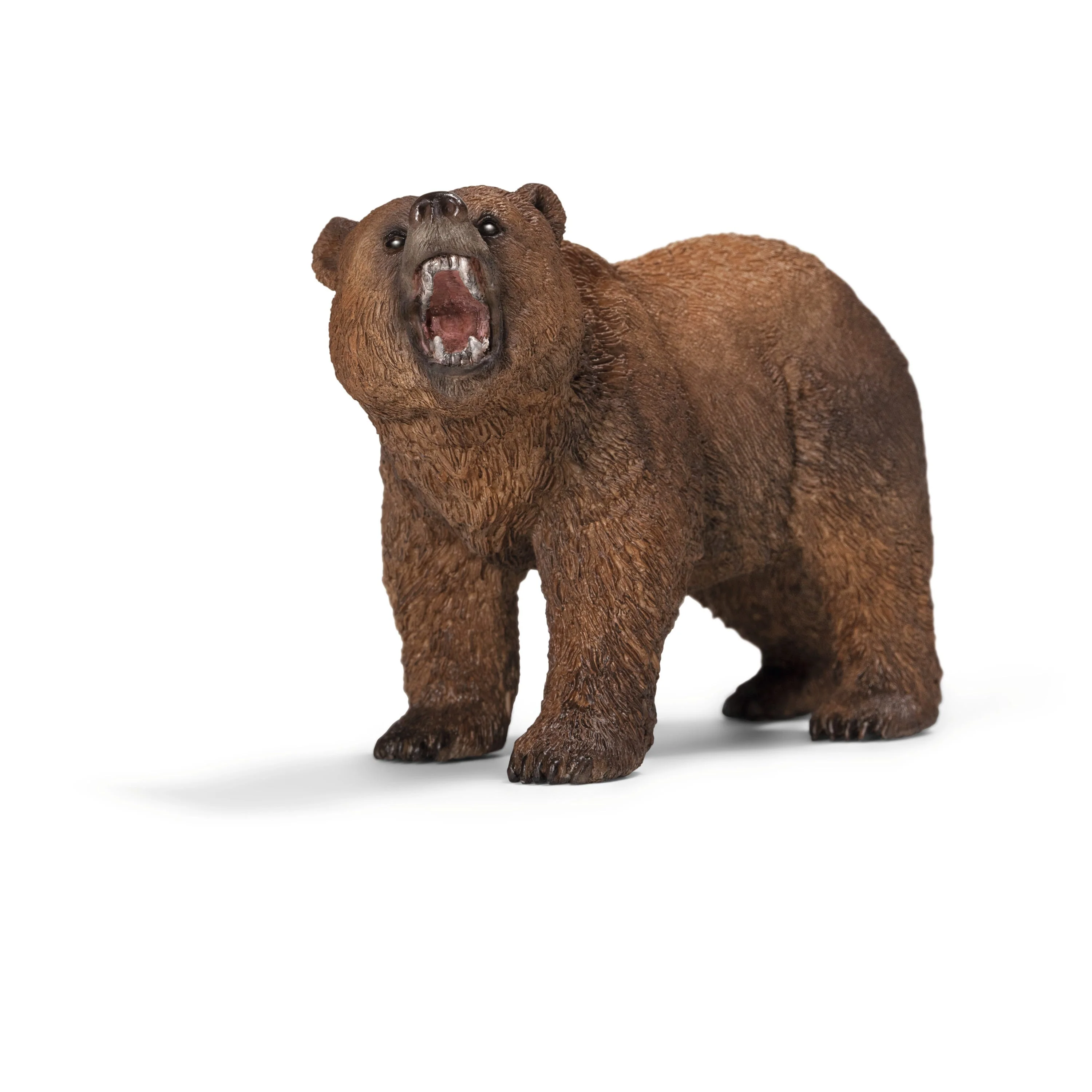 5-Piece North American Animal Bundle - Image 2