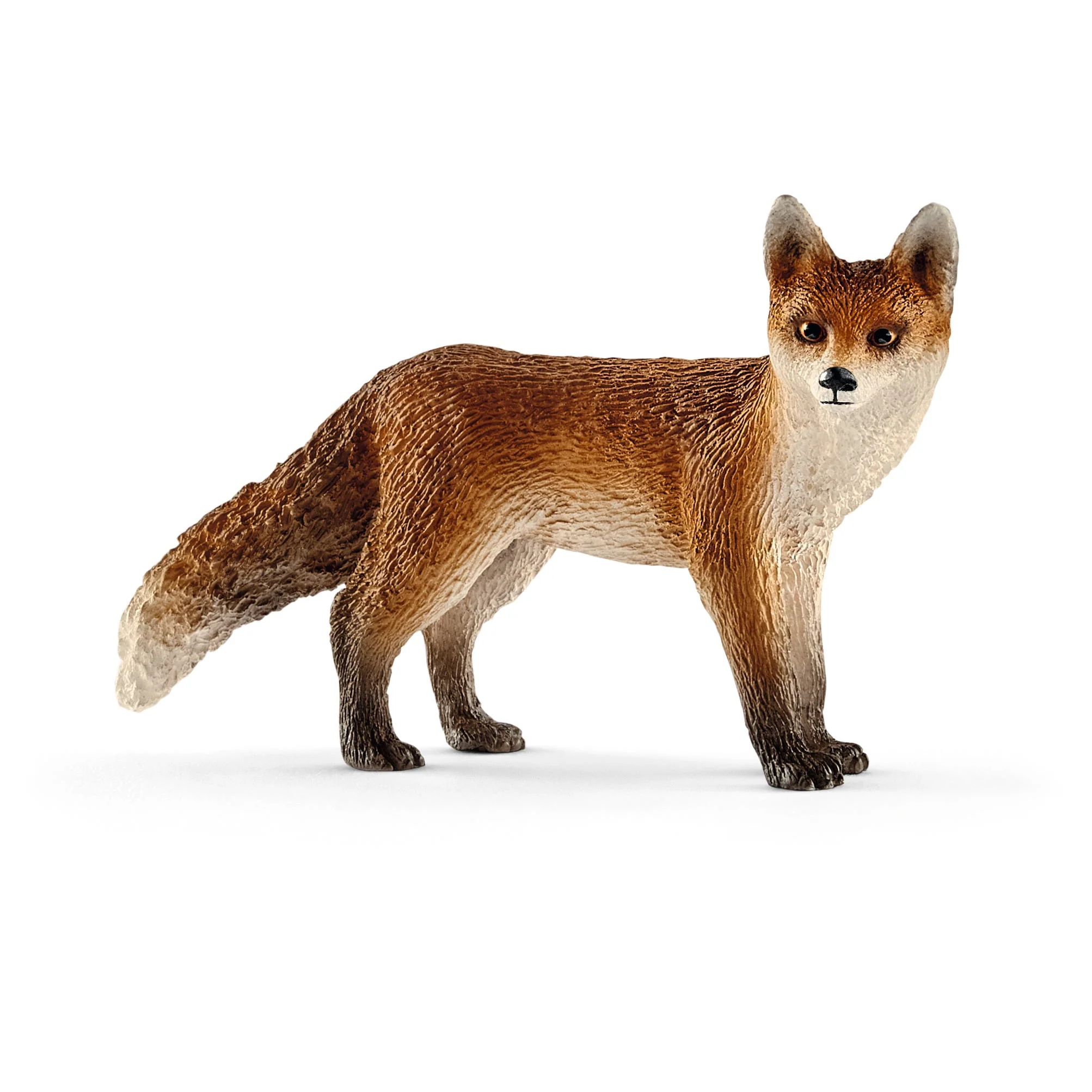5-Piece North American Animal Bundle - Image 6