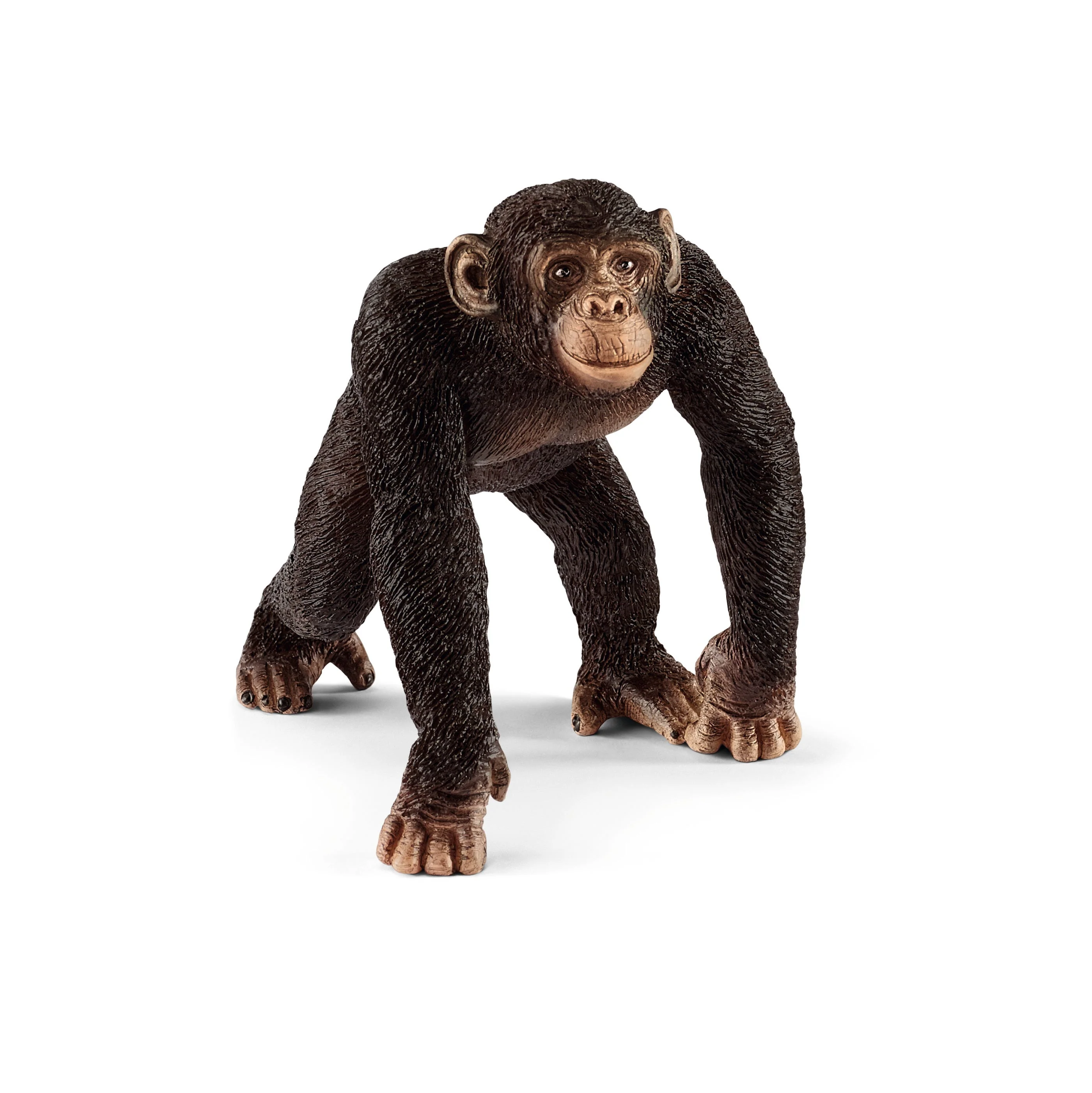 7-Piece African Animal Bundle - Image 6