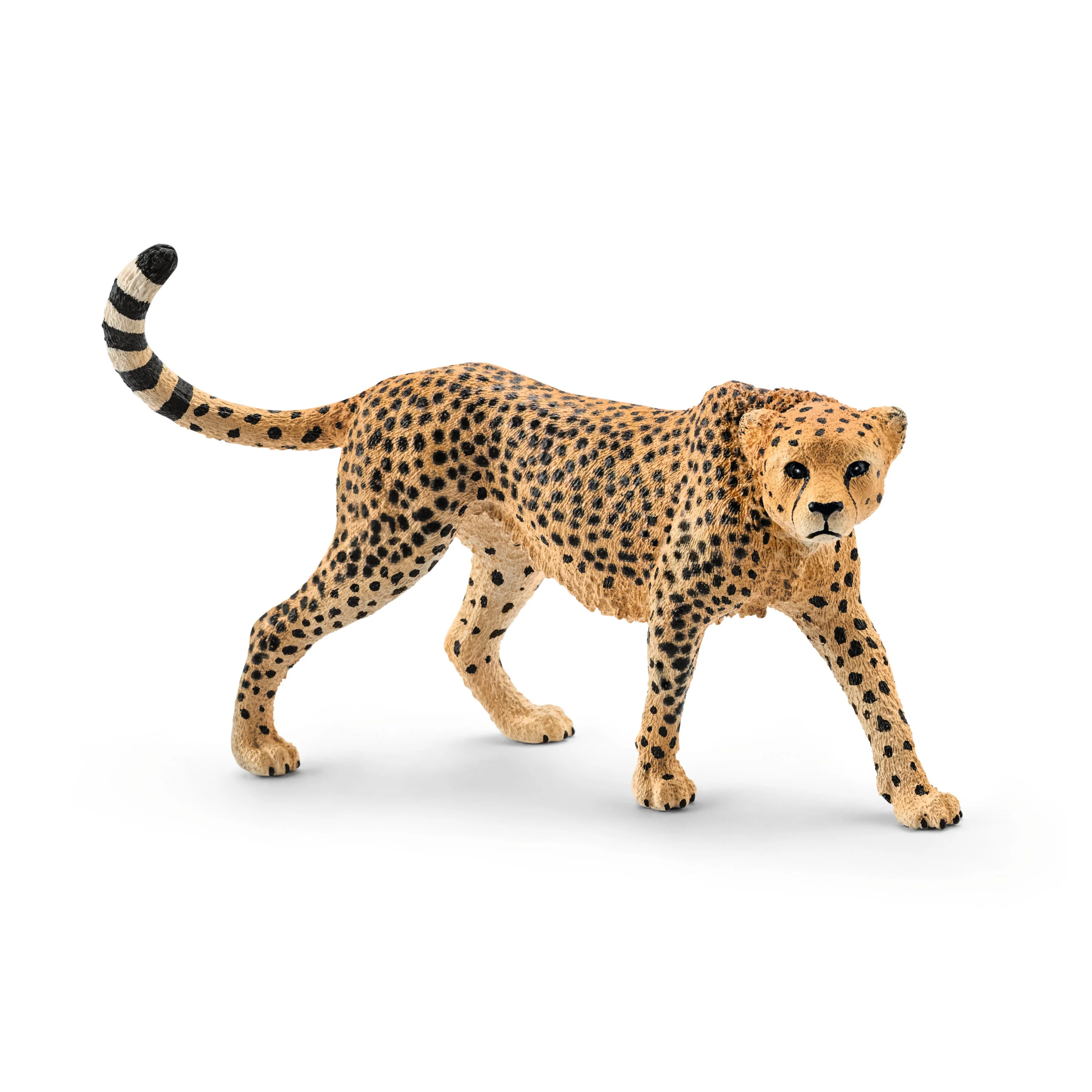 7-Piece African Animal Bundle - Image 8