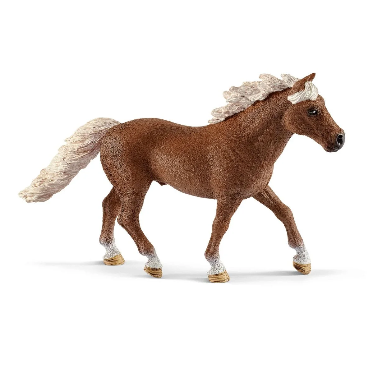 Agility at the horse stable - Image 6
