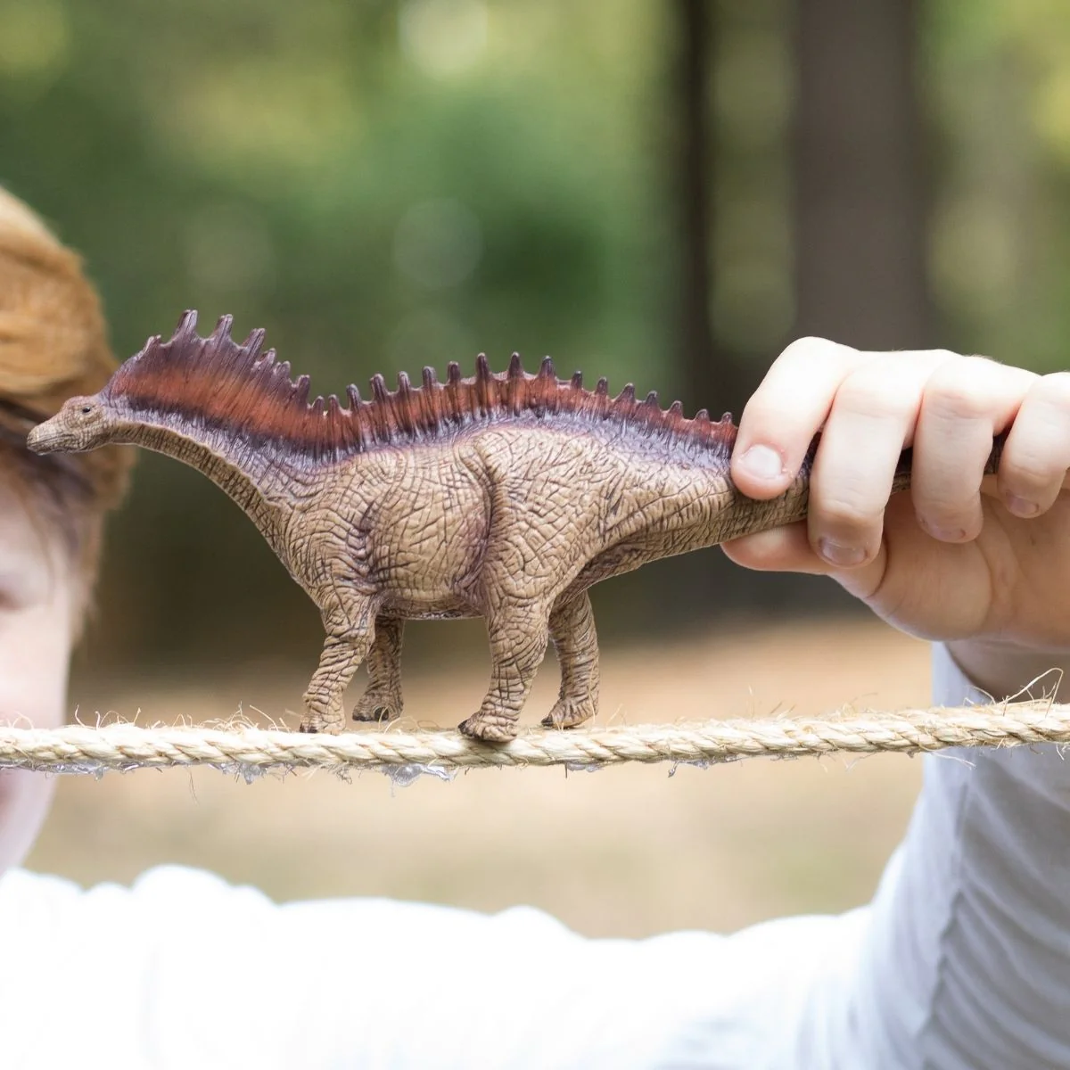 Amargasaurus - Image 2