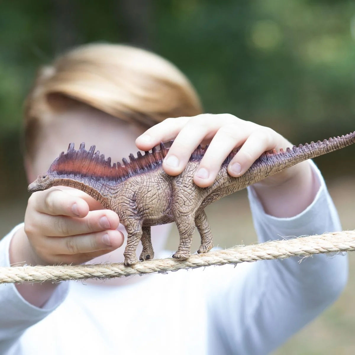 Amargasaurus - Image 3