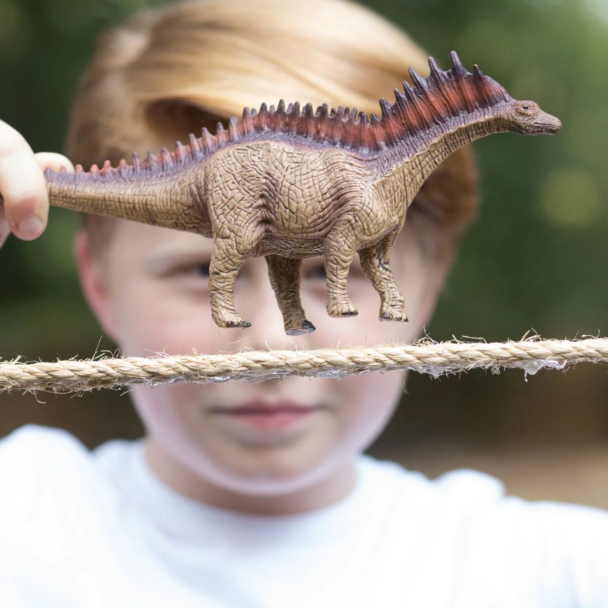 Amargasaurus - Image 4