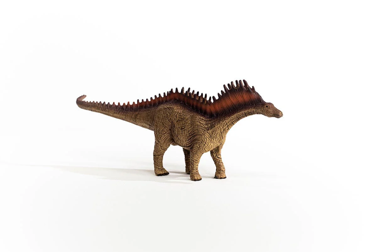 Amargasaurus - Image 5
