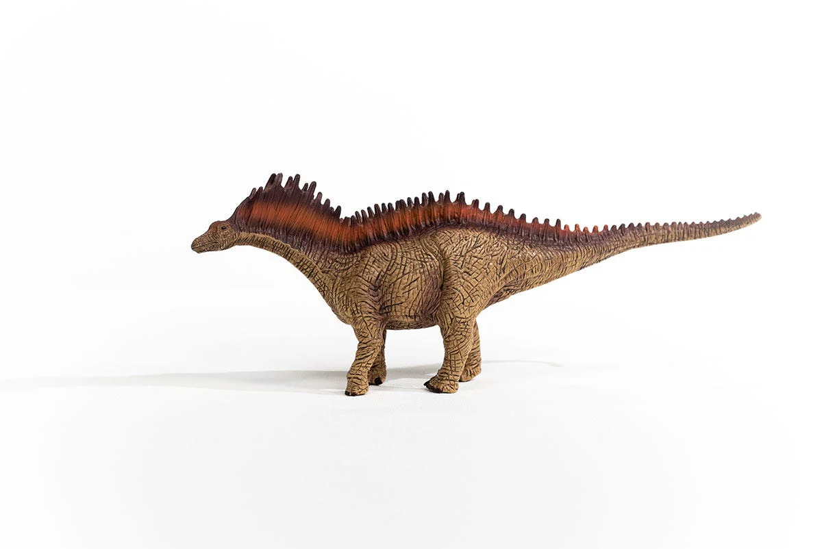 Amargasaurus - Image 7