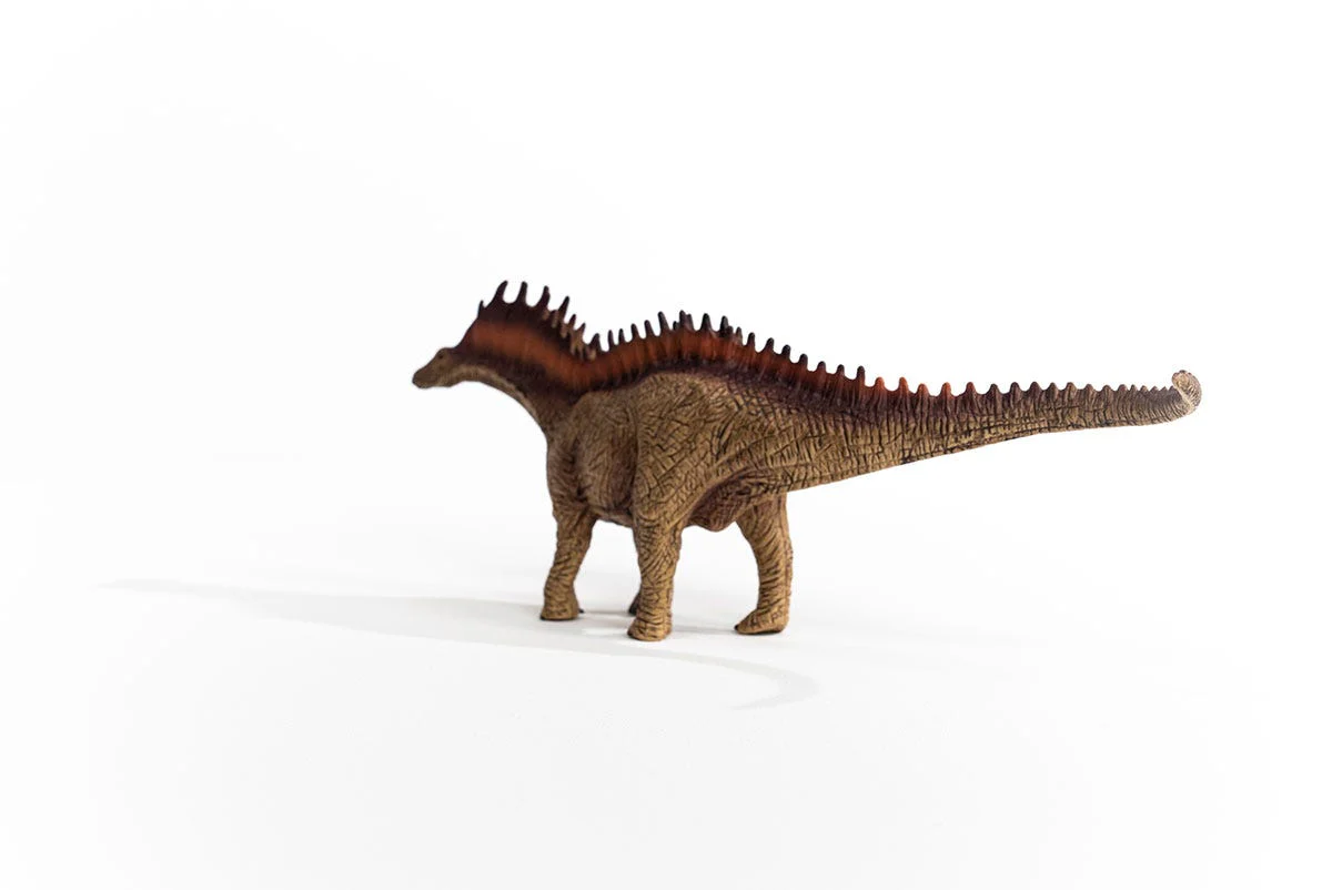 Amargasaurus - Image 8