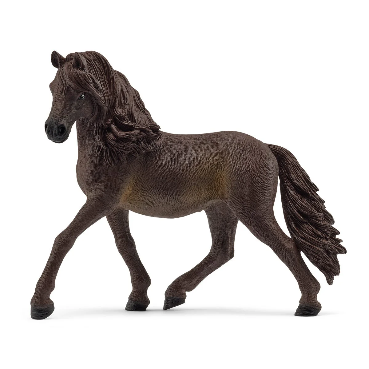 Andalusian mare