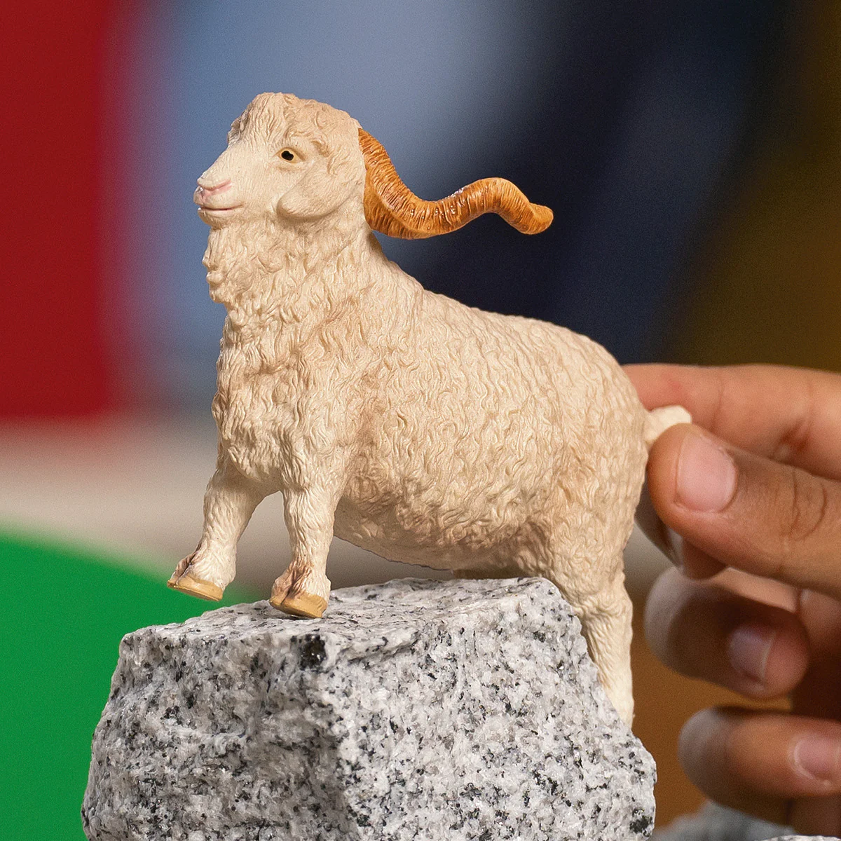 Angora Goat - Image 2