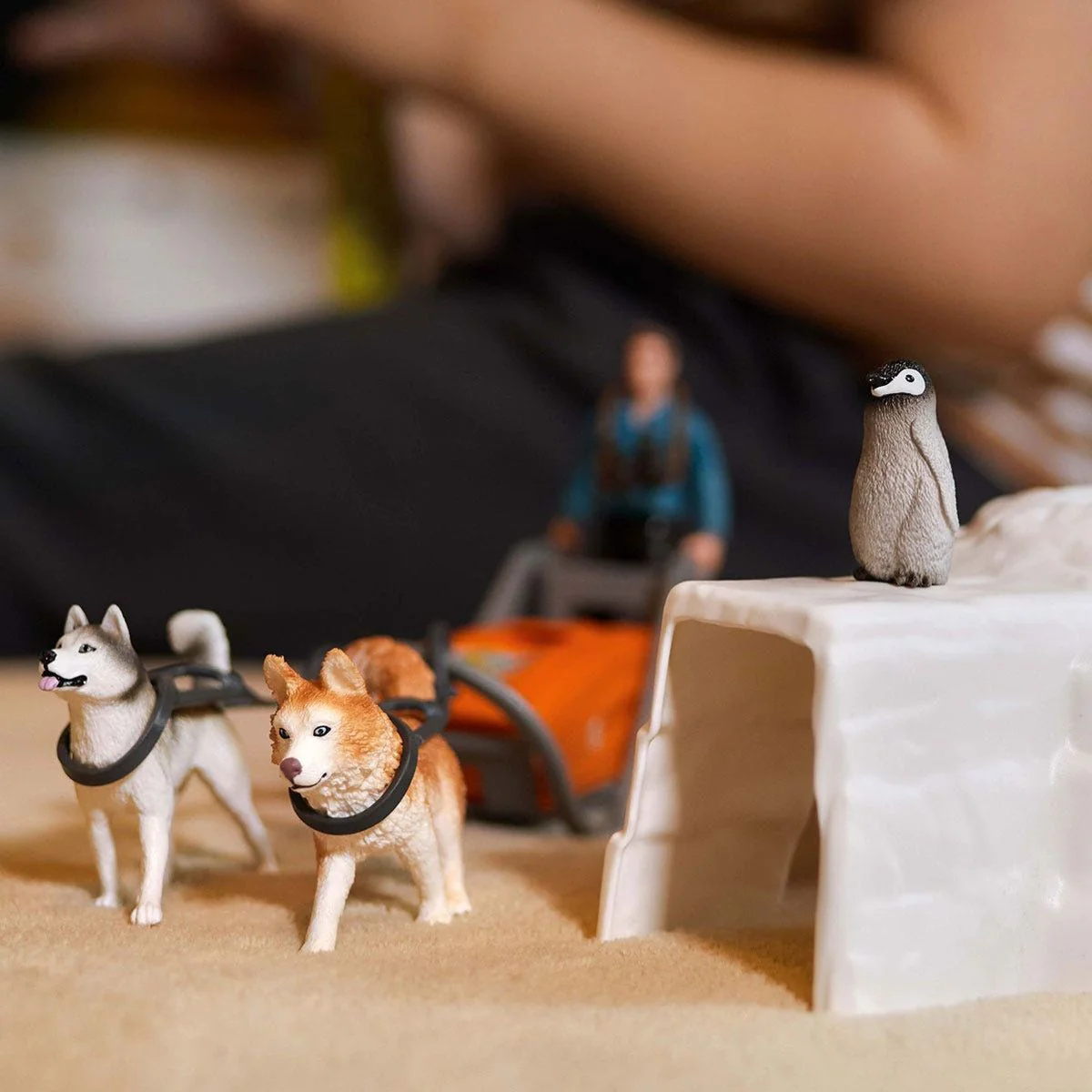 Antarctic Expedition - Image 3