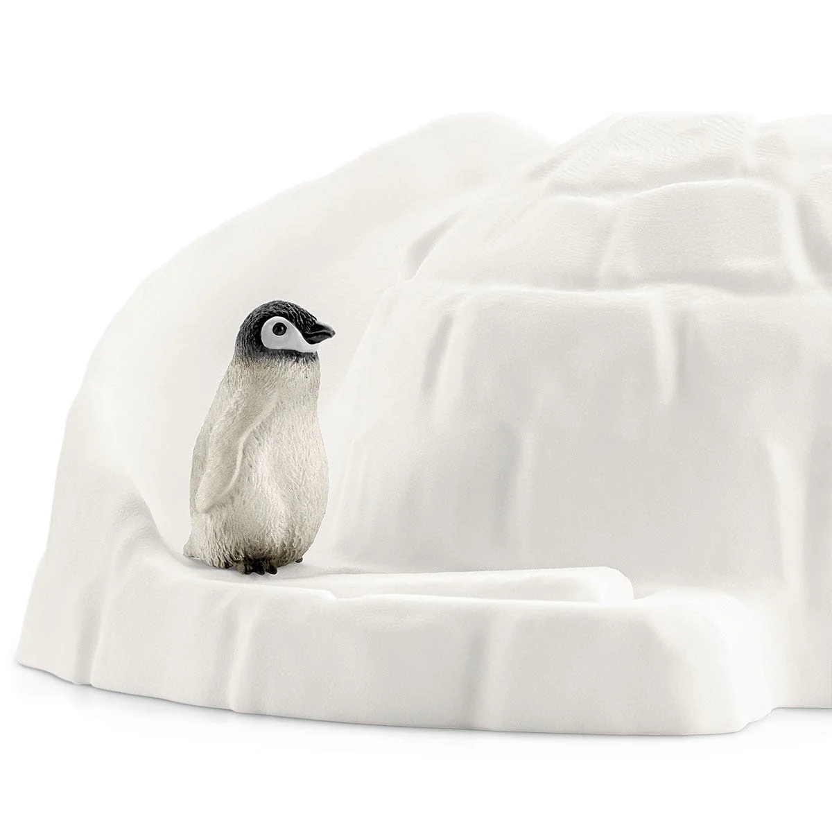 Antarctic Expedition - Image 7