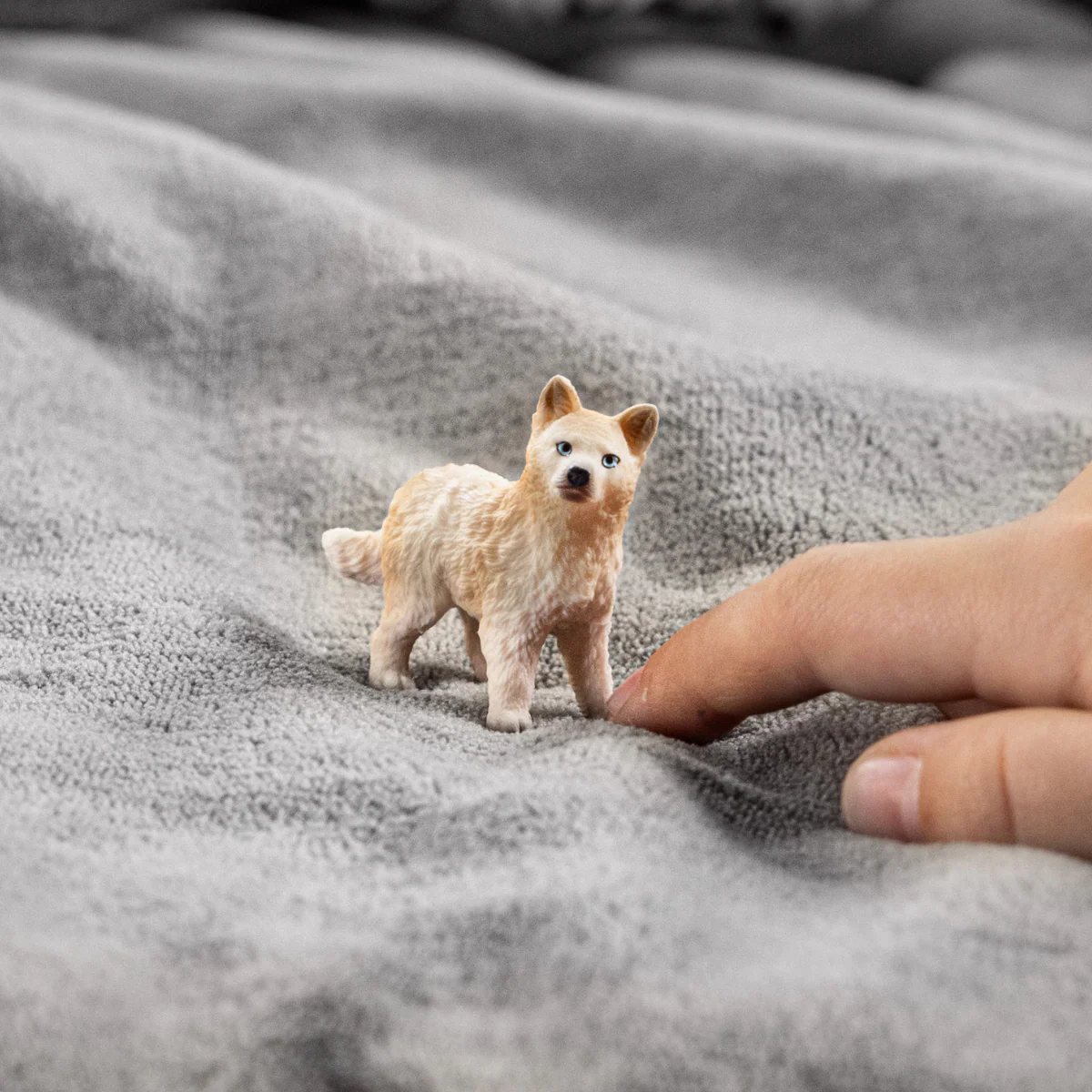Arctic Wolf Cub - Image 2