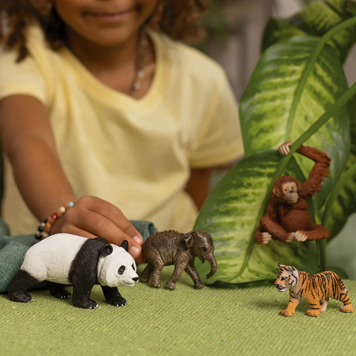 Wild Life Asia Starter Set - Image 2