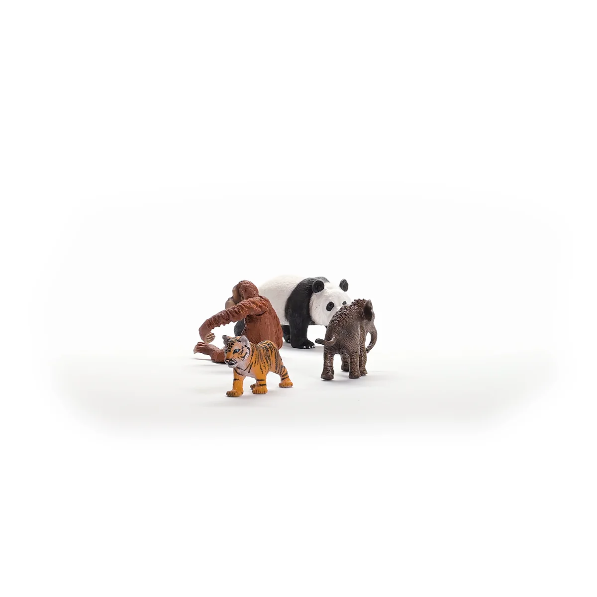 Wild Life Asia Starter Set - Image 3