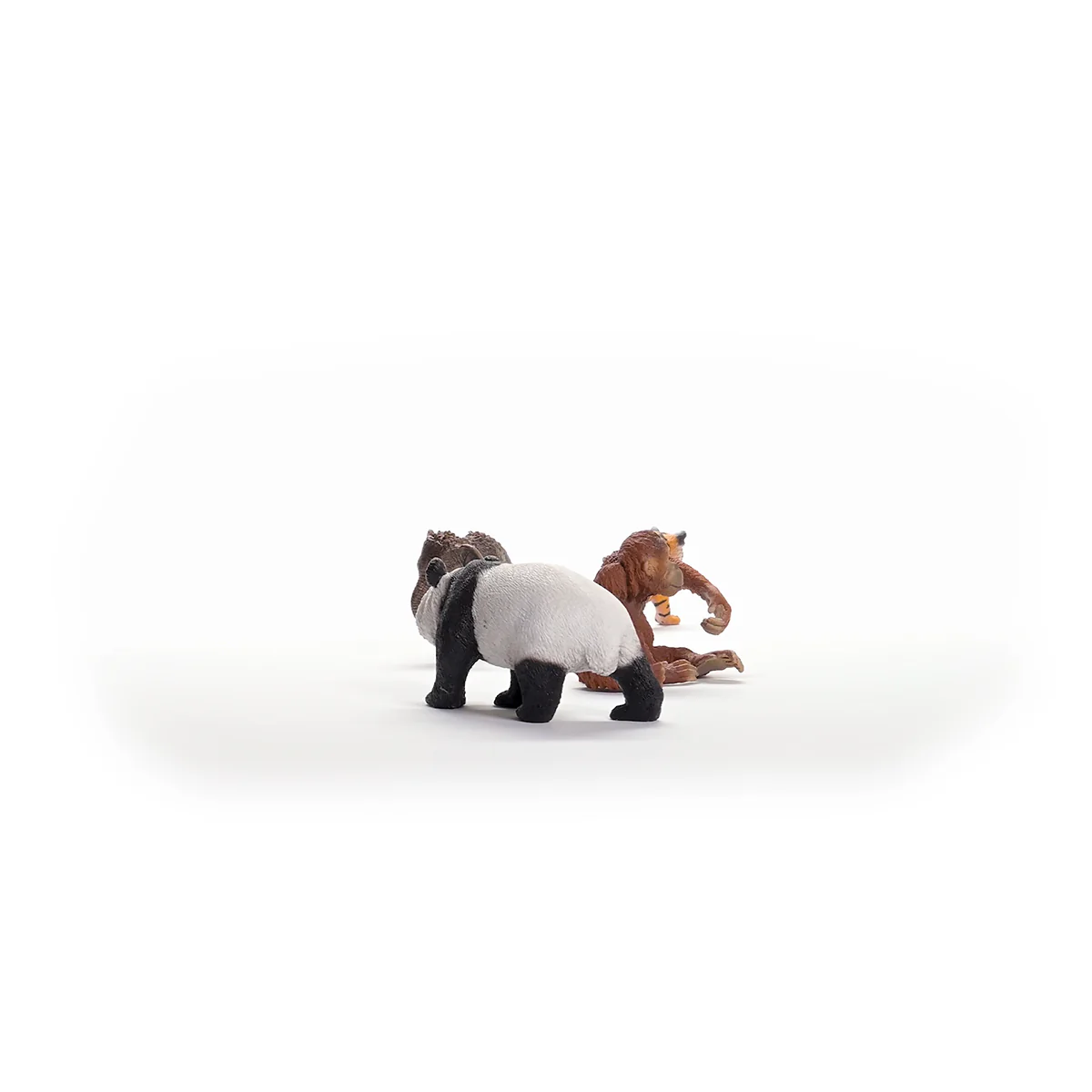 Wild Life Asia Starter Set - Image 4