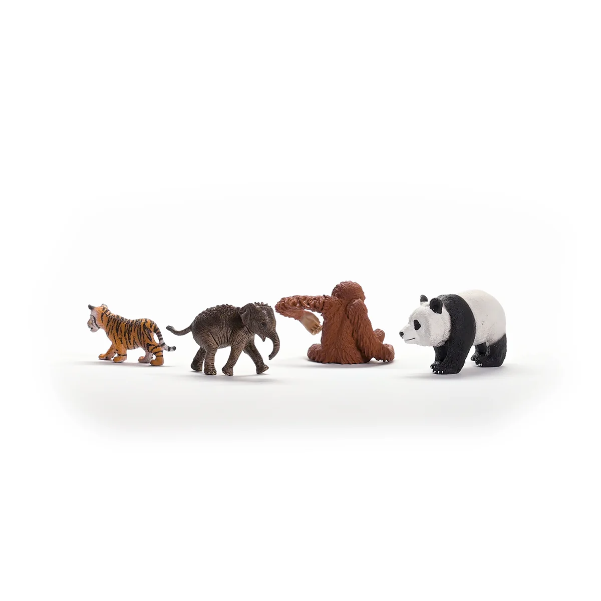 Wild Life Asia Starter Set - Image 5