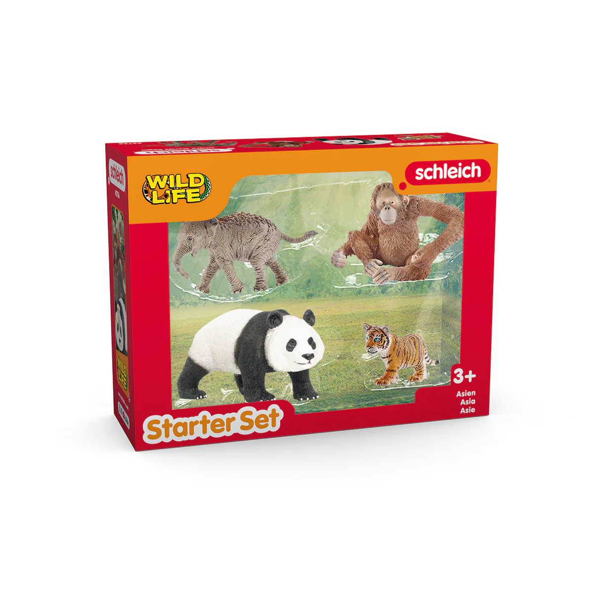 Wild Life Asia Starter Set - Image 6