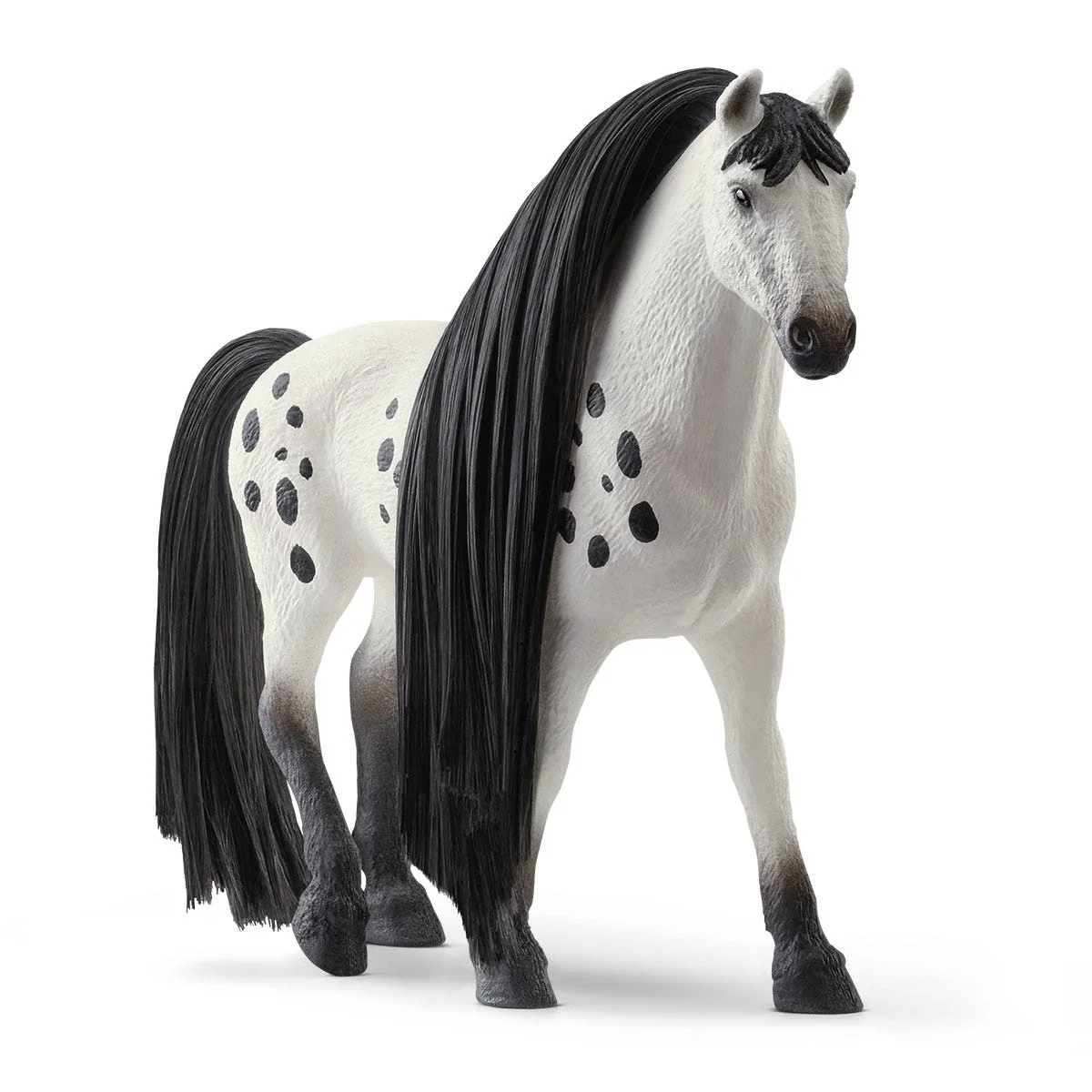 Beauty Horse Knabstrupper Stallion - Image 4