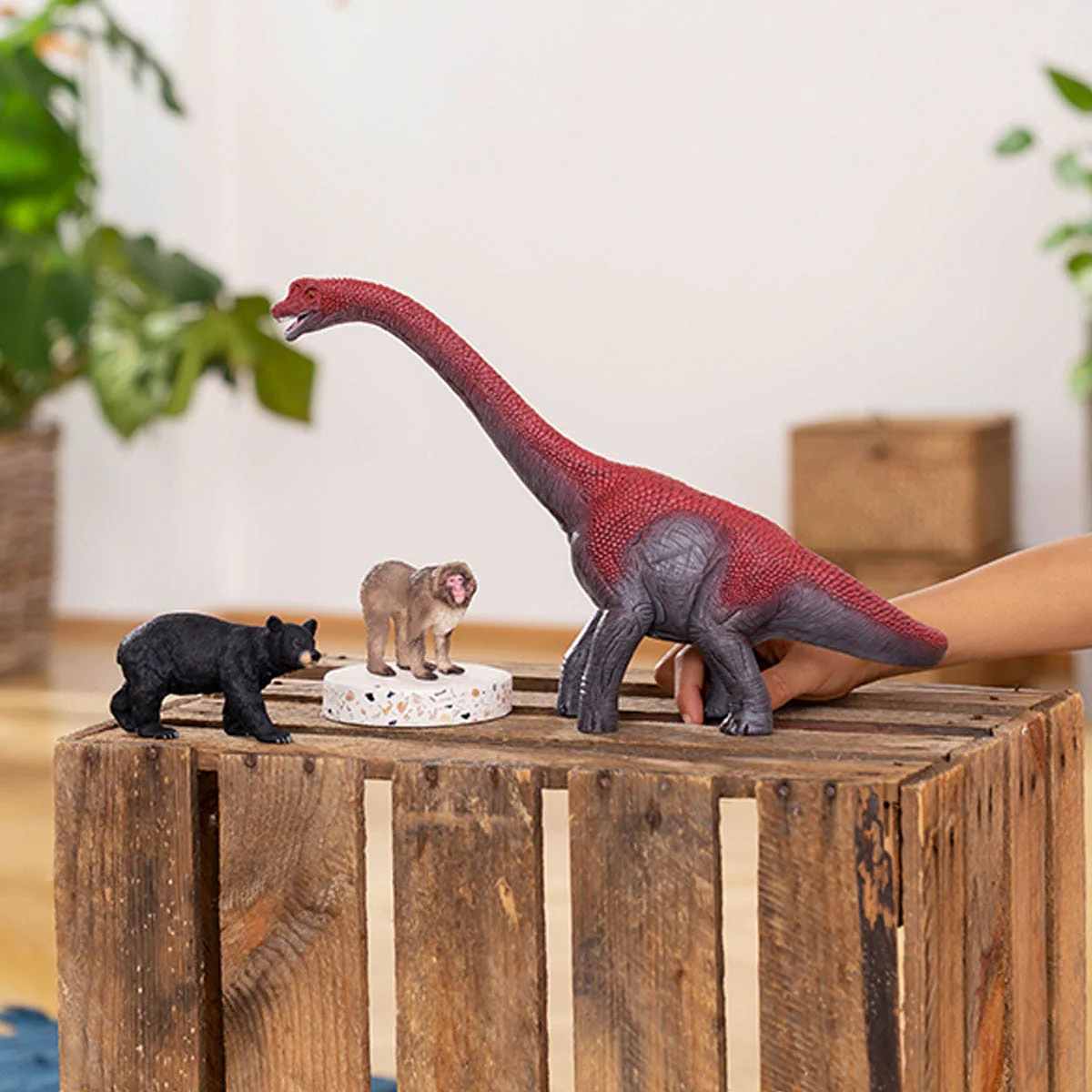 Brachiosaurus - Image 3