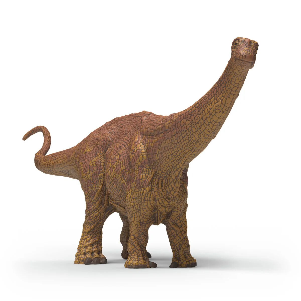 Brontosaurus - Image 2