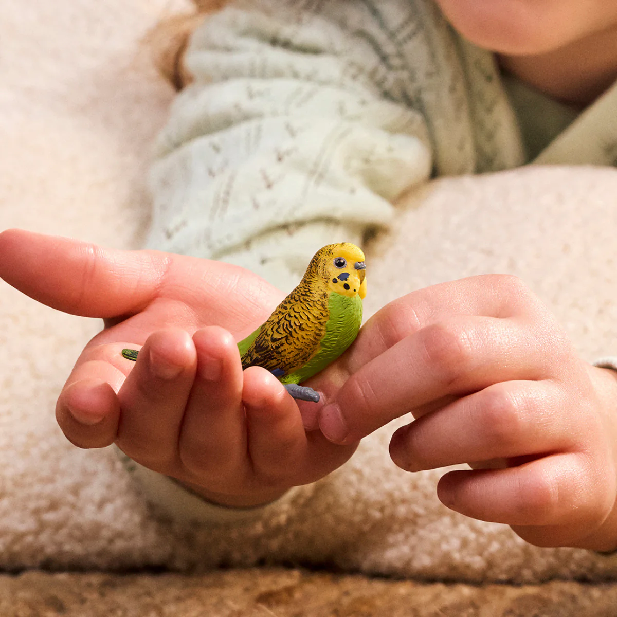 Budgie - Image 2