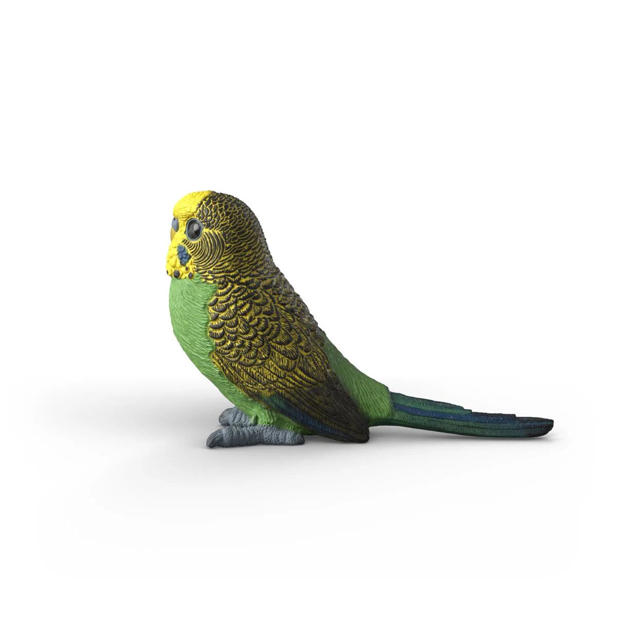 Budgie - Image 3