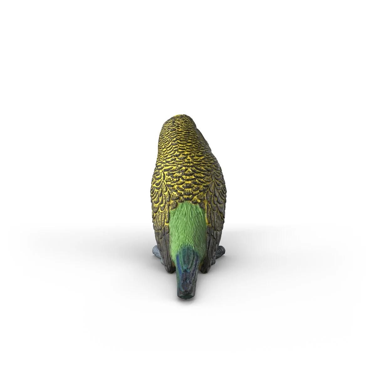 Budgie - Image 4