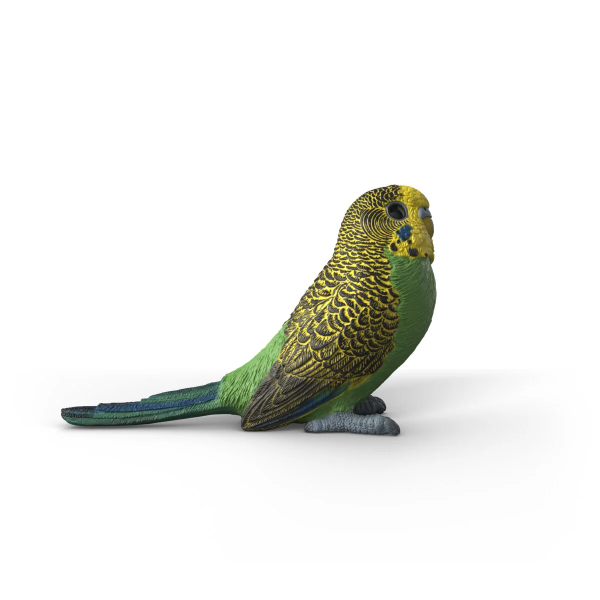 Budgie - Image 5