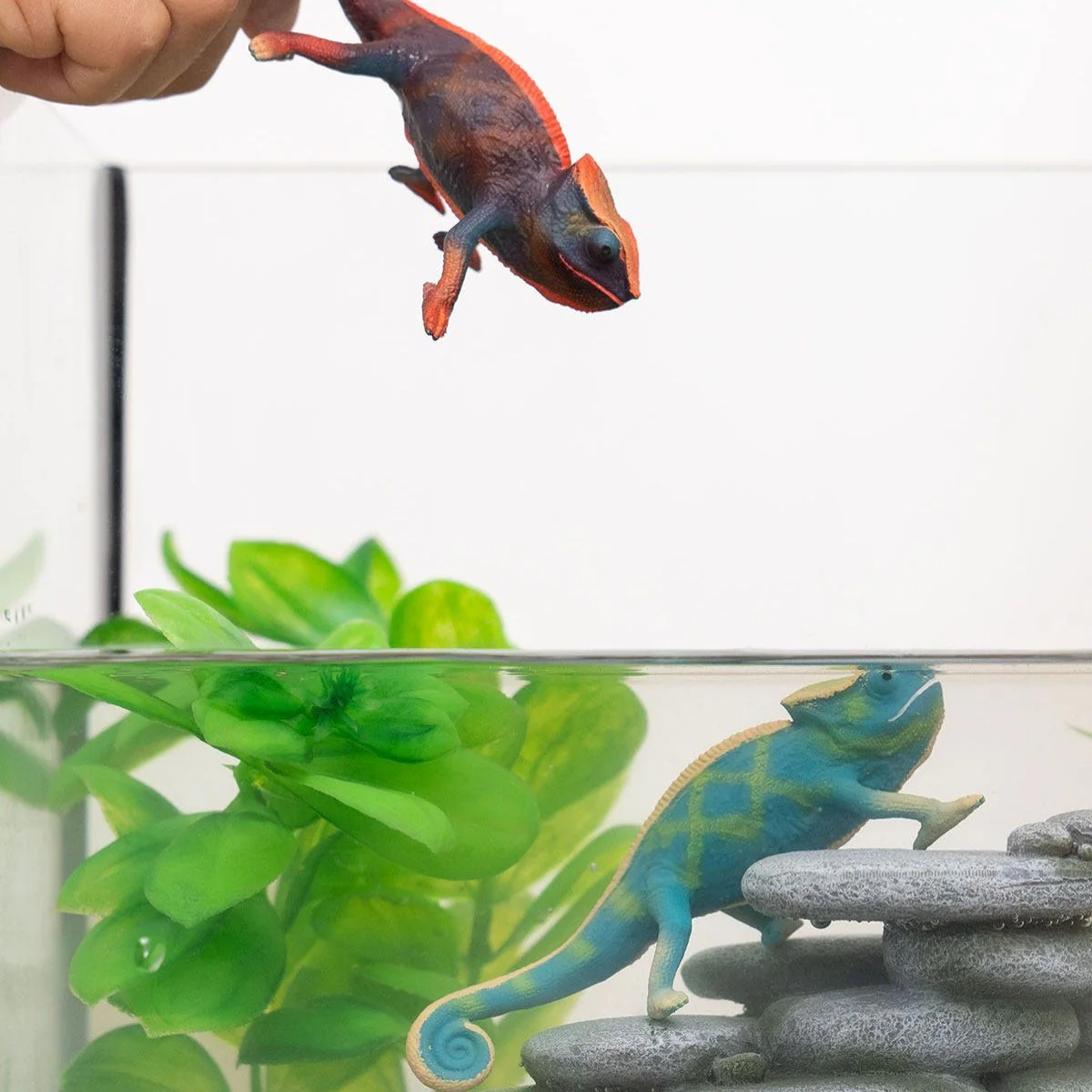 Color Changing Chameleon - Image 2