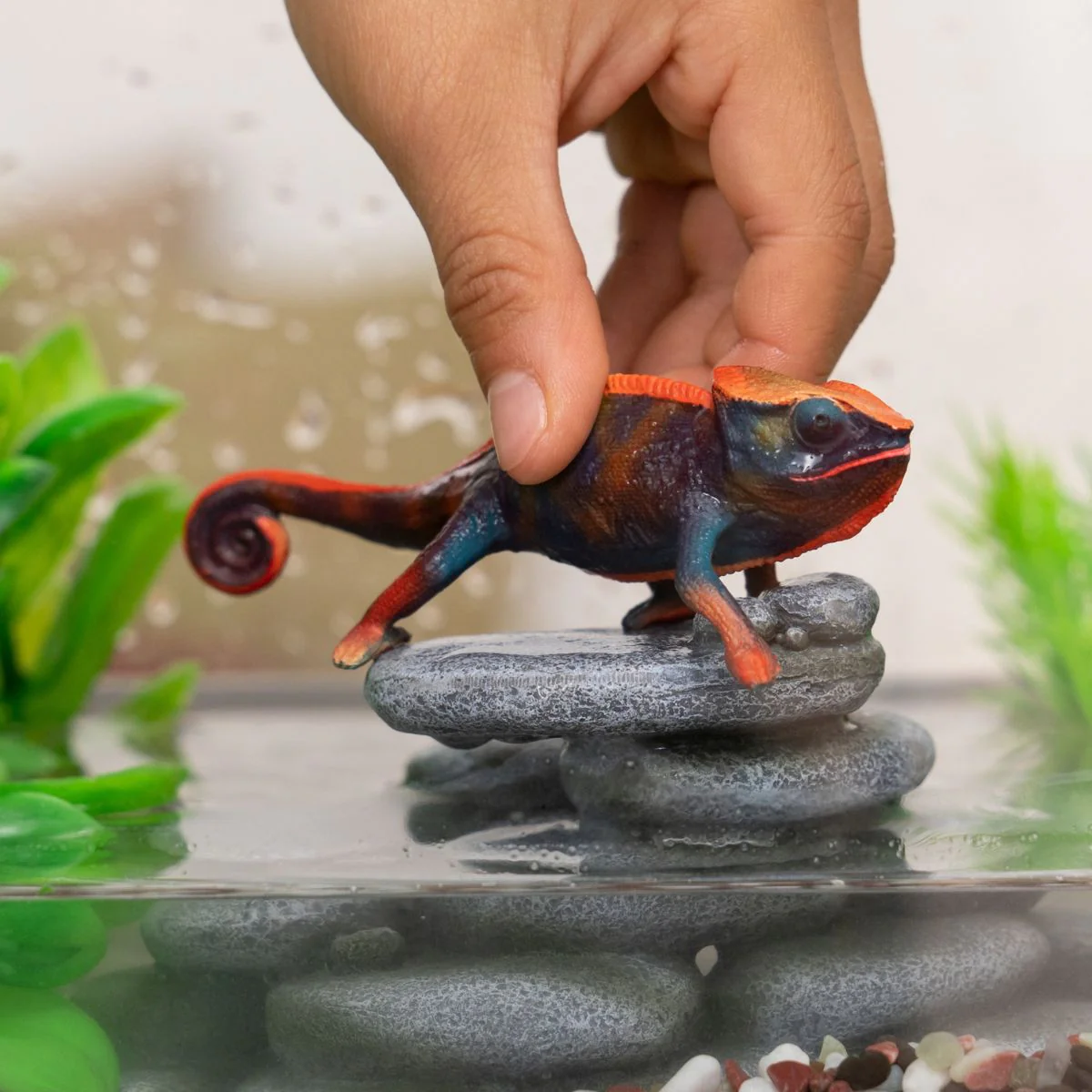 Color Changing Chameleon - Image 3