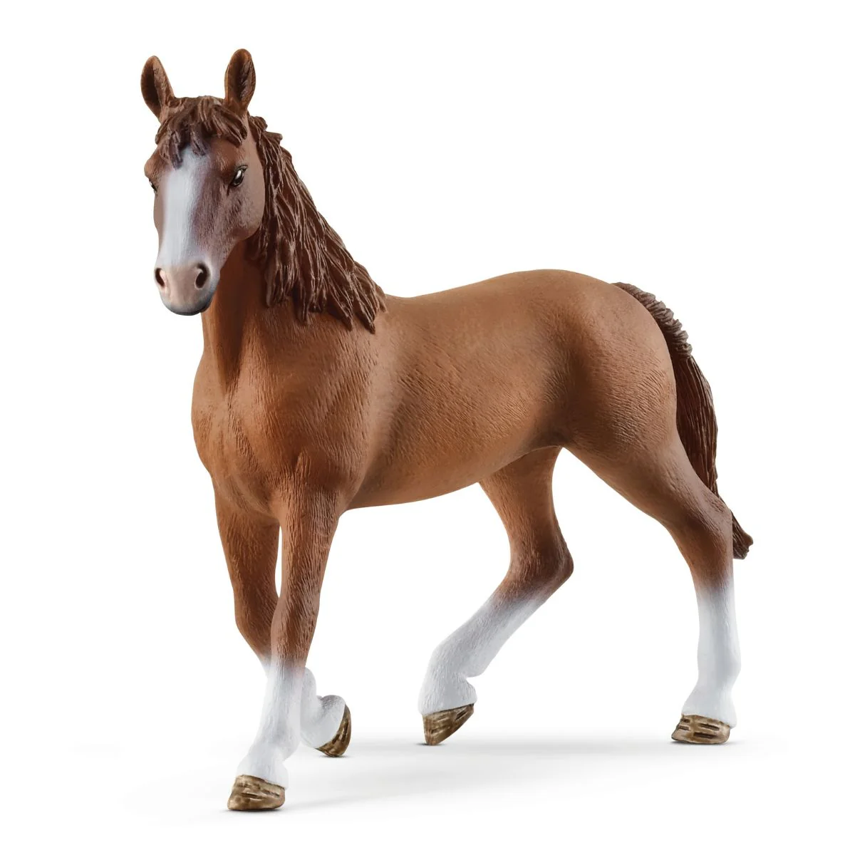 Cheval de Selle Francais mare