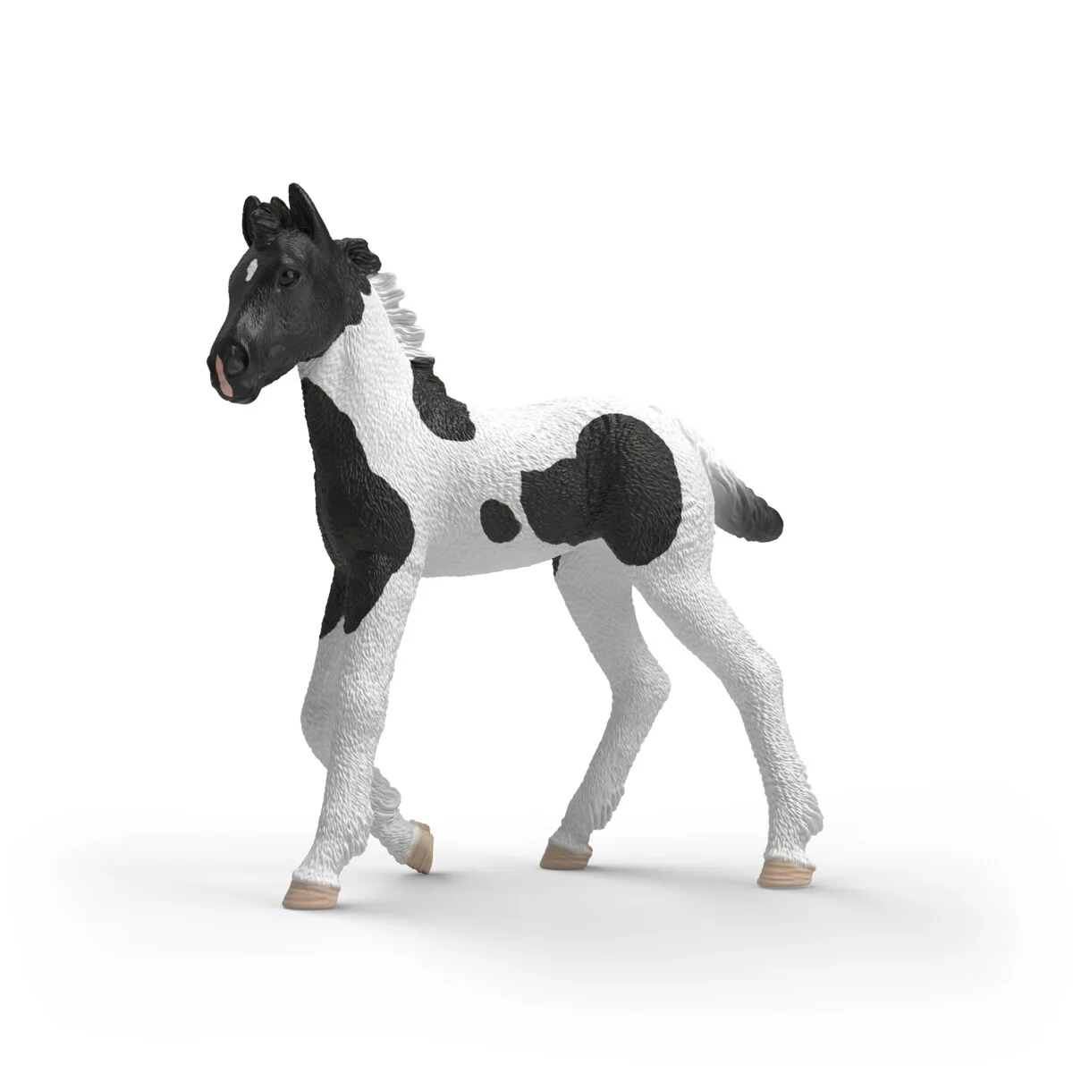 Collectible Foal Rocky