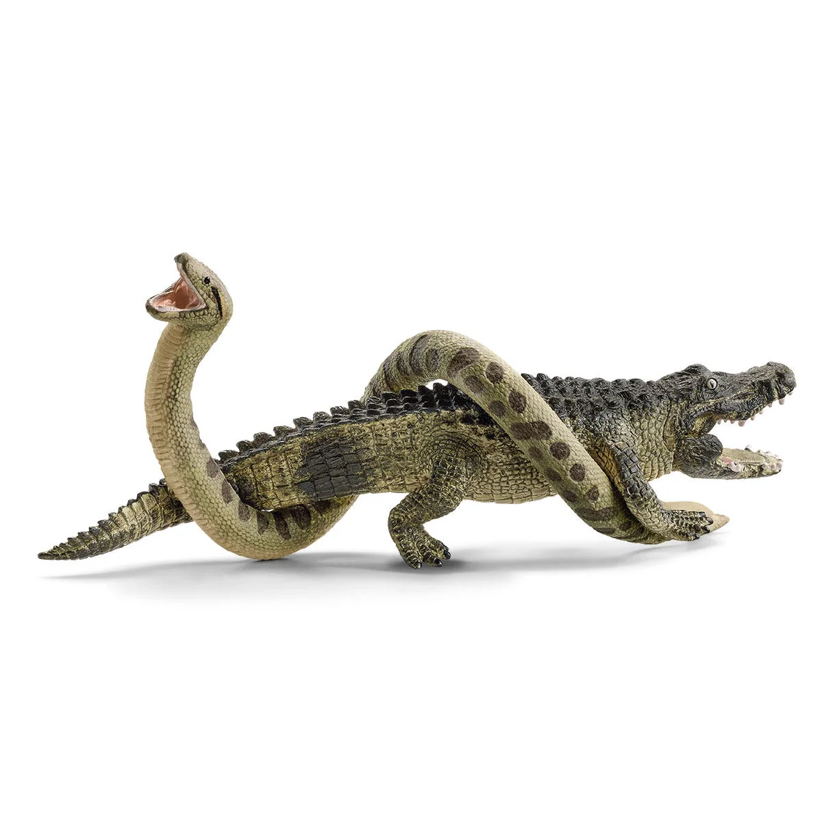 Danger in the swamp - Image 5