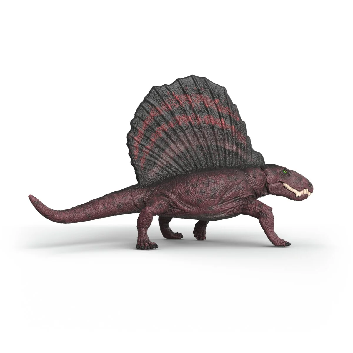 Dimetrodon - Image 6