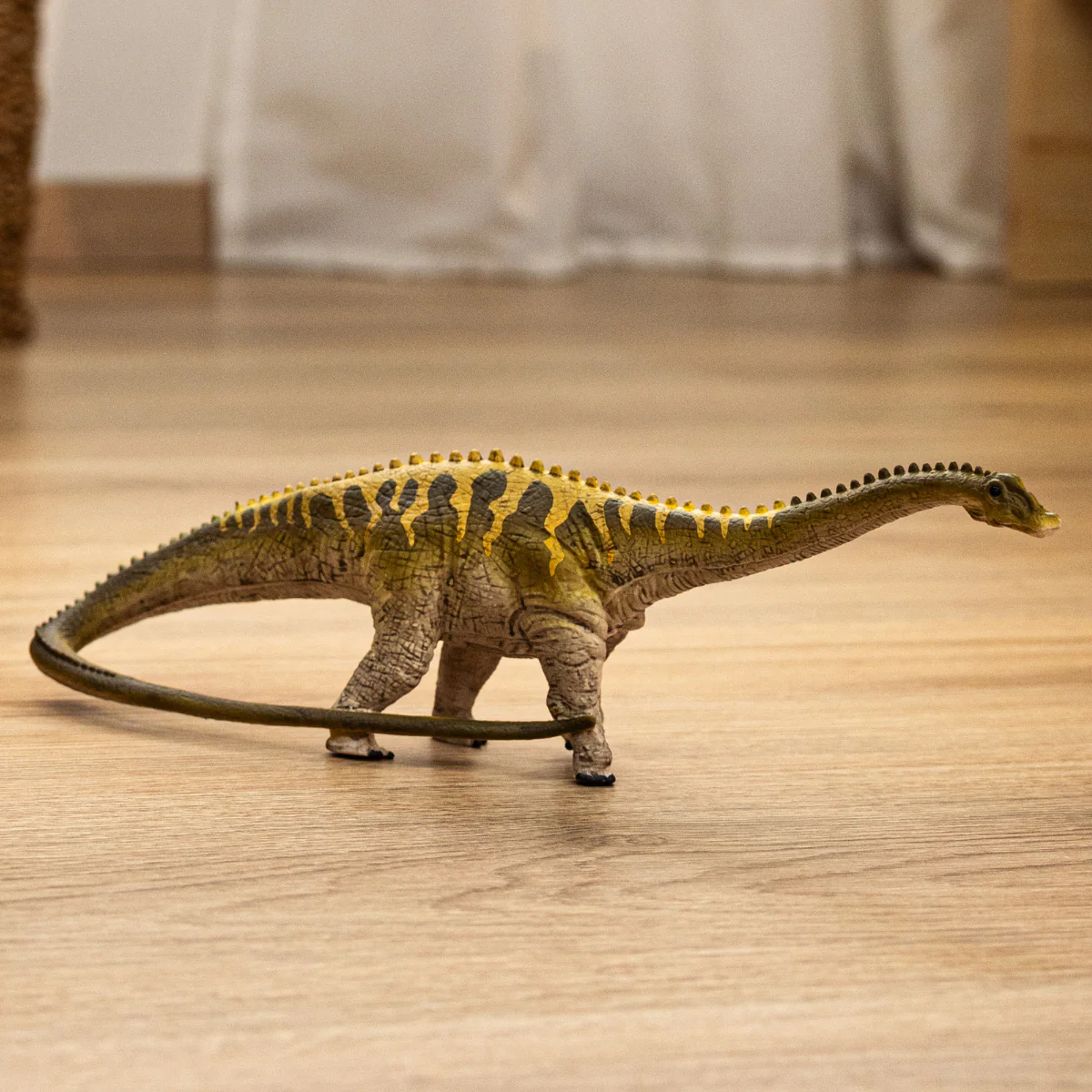 Diplodocus - Image 2