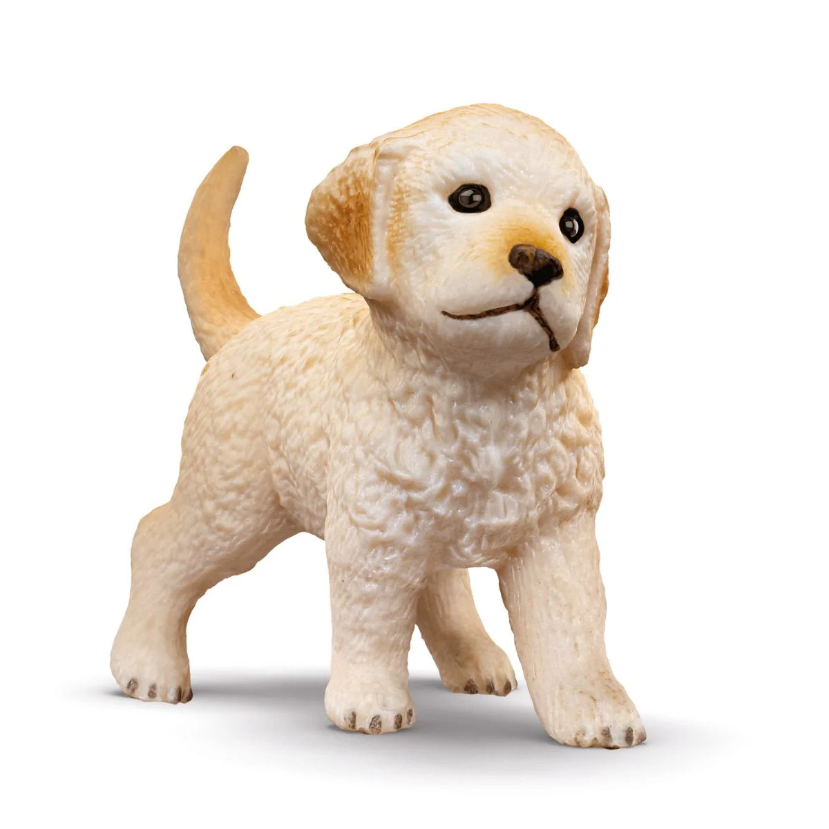 Dog Kennel with Golden Retriever - Image 10