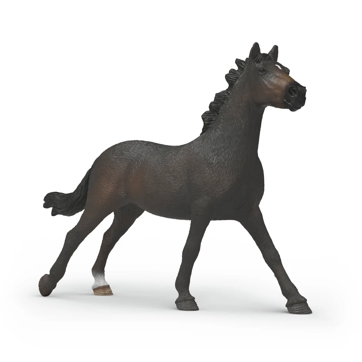 English Thoroughbred Mare