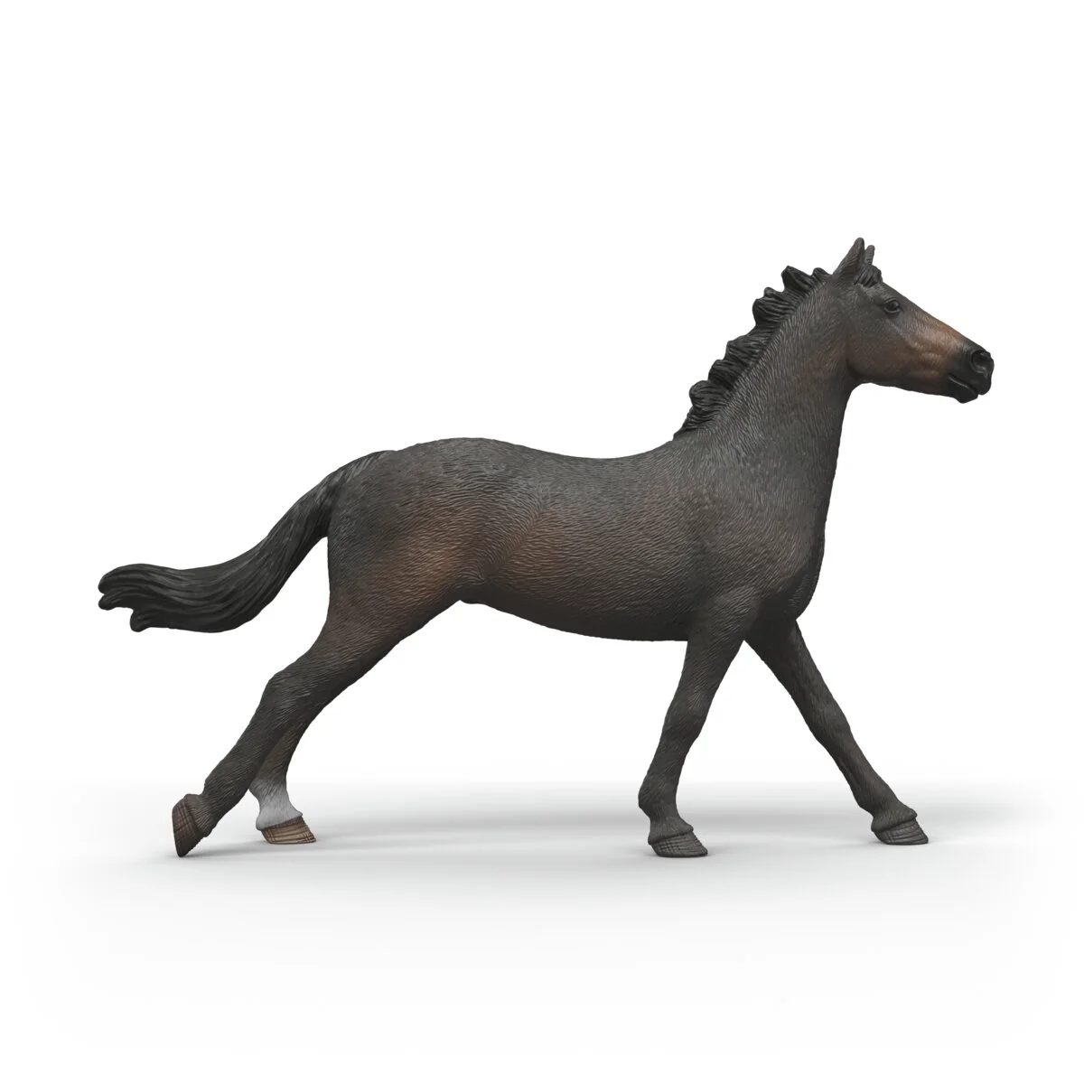 English Thoroughbred Mare - Image 6