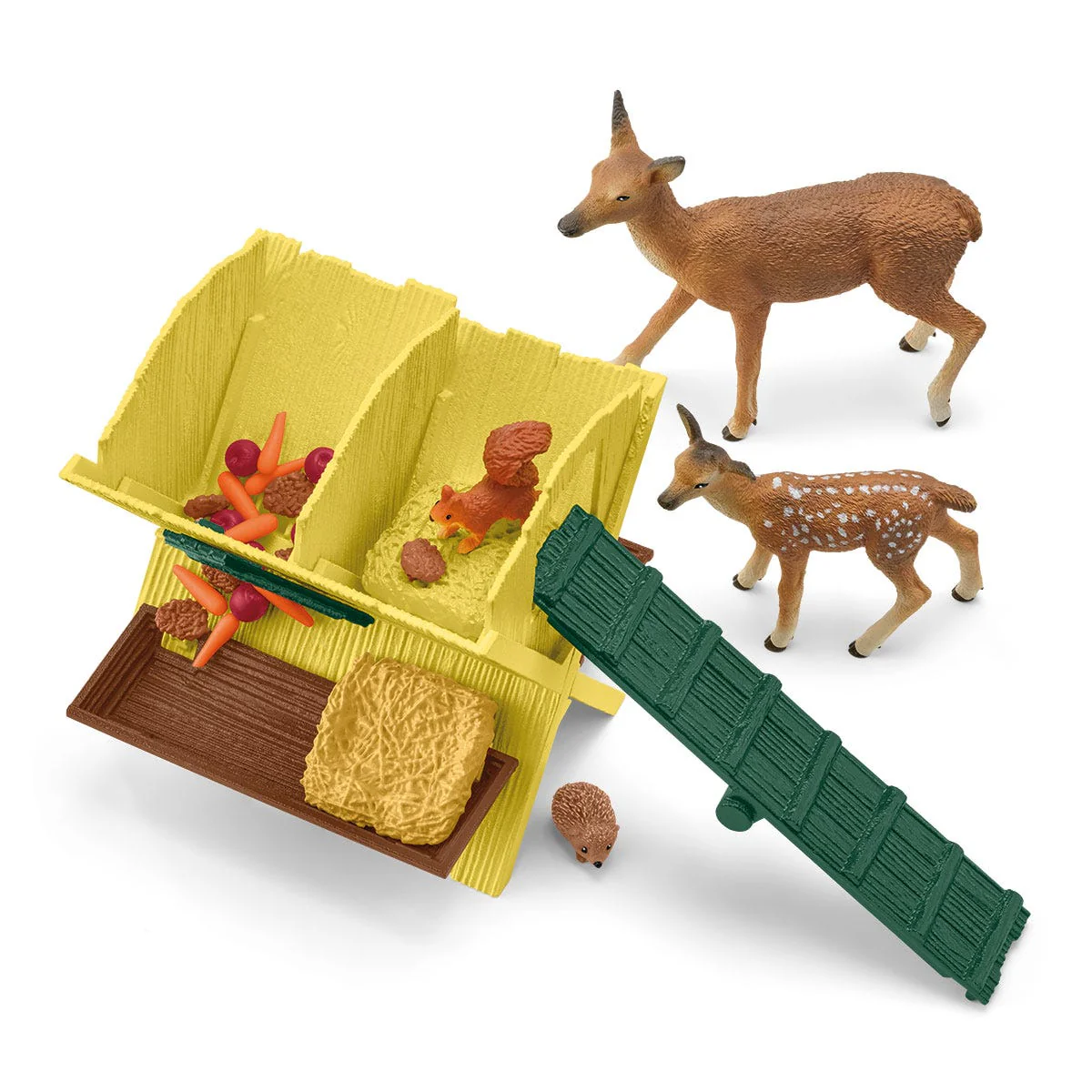 Feeding the Forest Animals - Image 4
