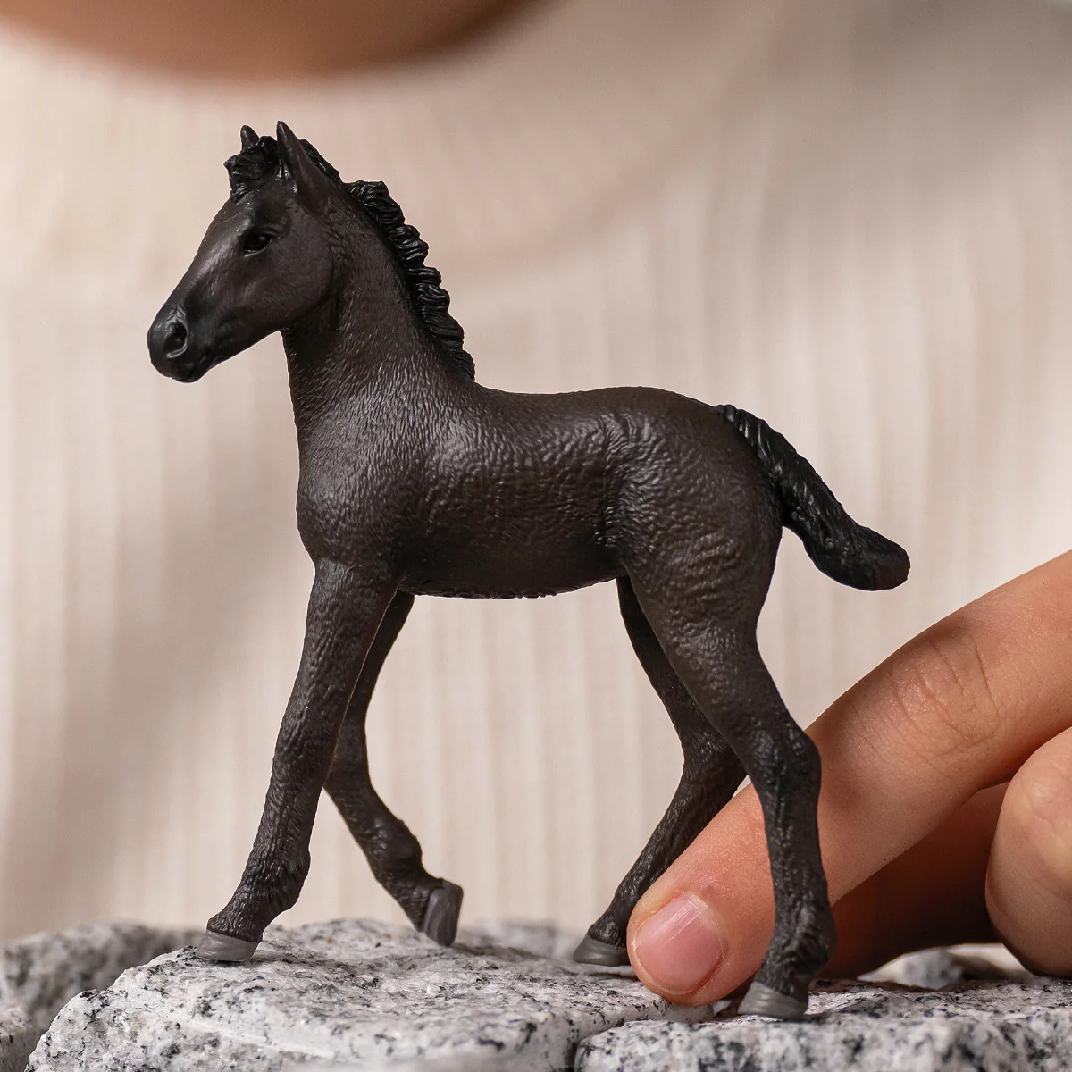 Friesian Foal - Image 2