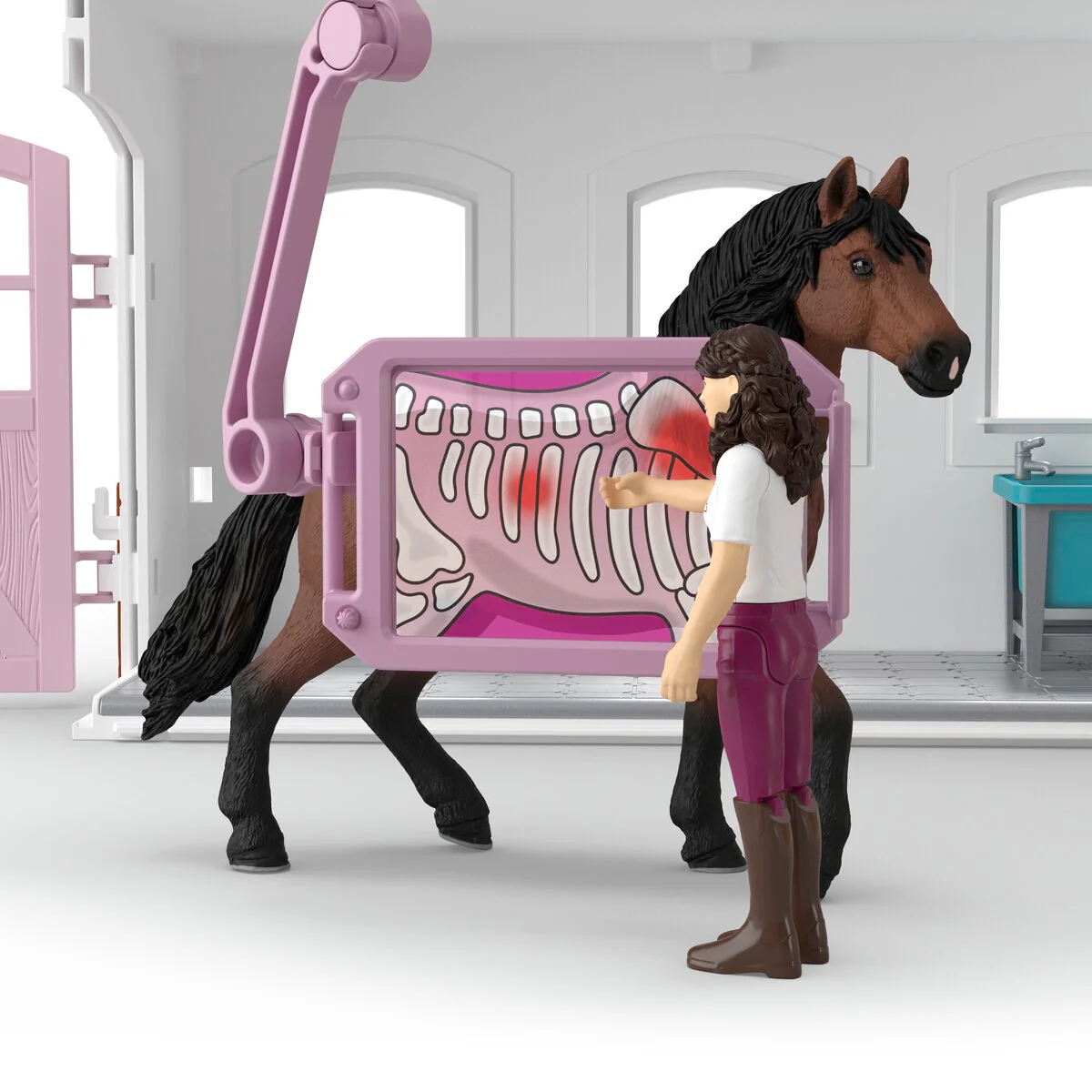Happy Horse Hospital - Image 3