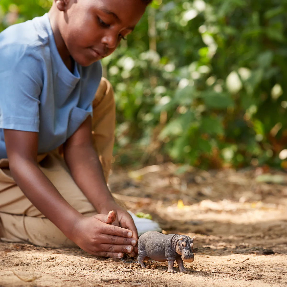 Hippopotamus - Image 3