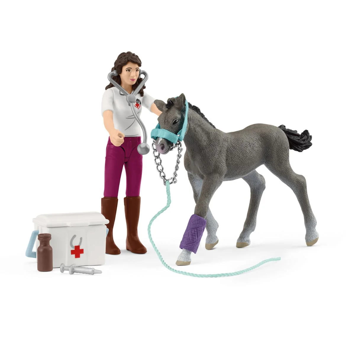 Horse Care with Trakehner Foal