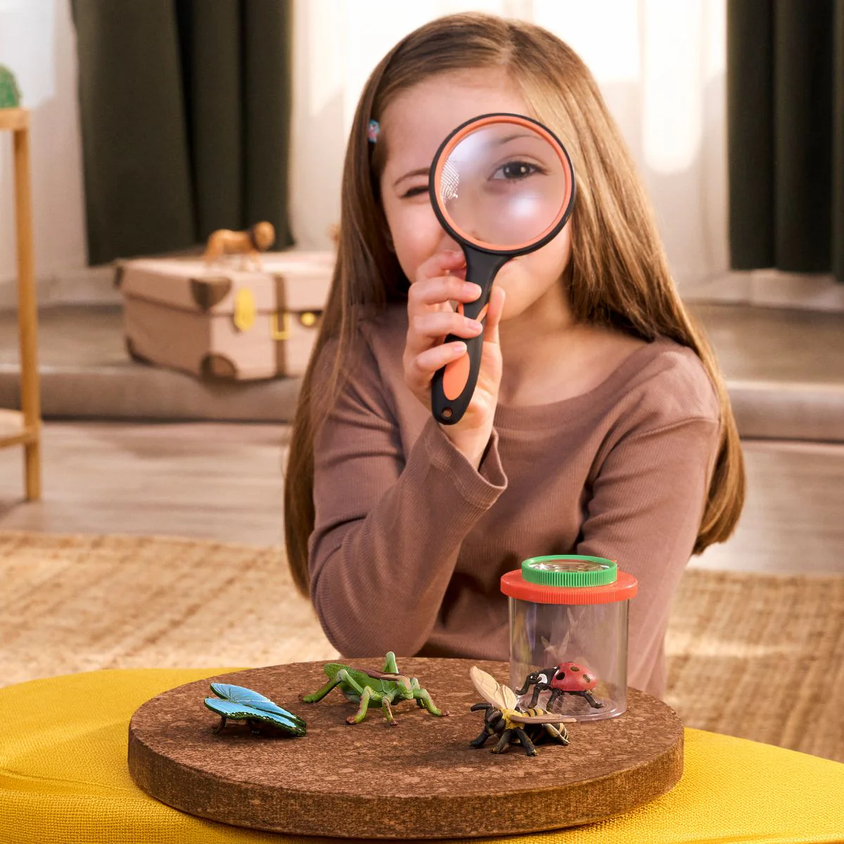 Insects discovery set - Image 3