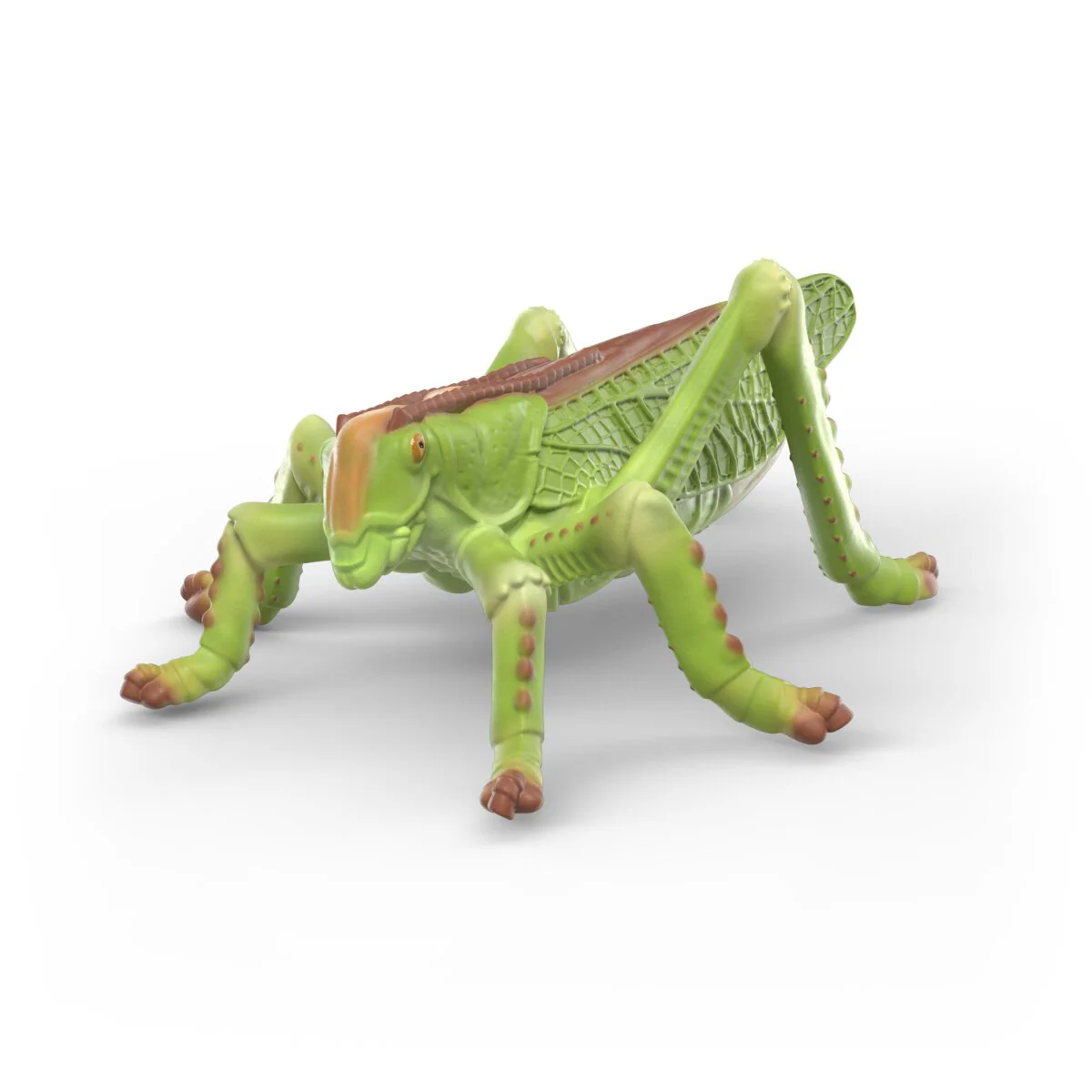 Insects discovery set - Image 6