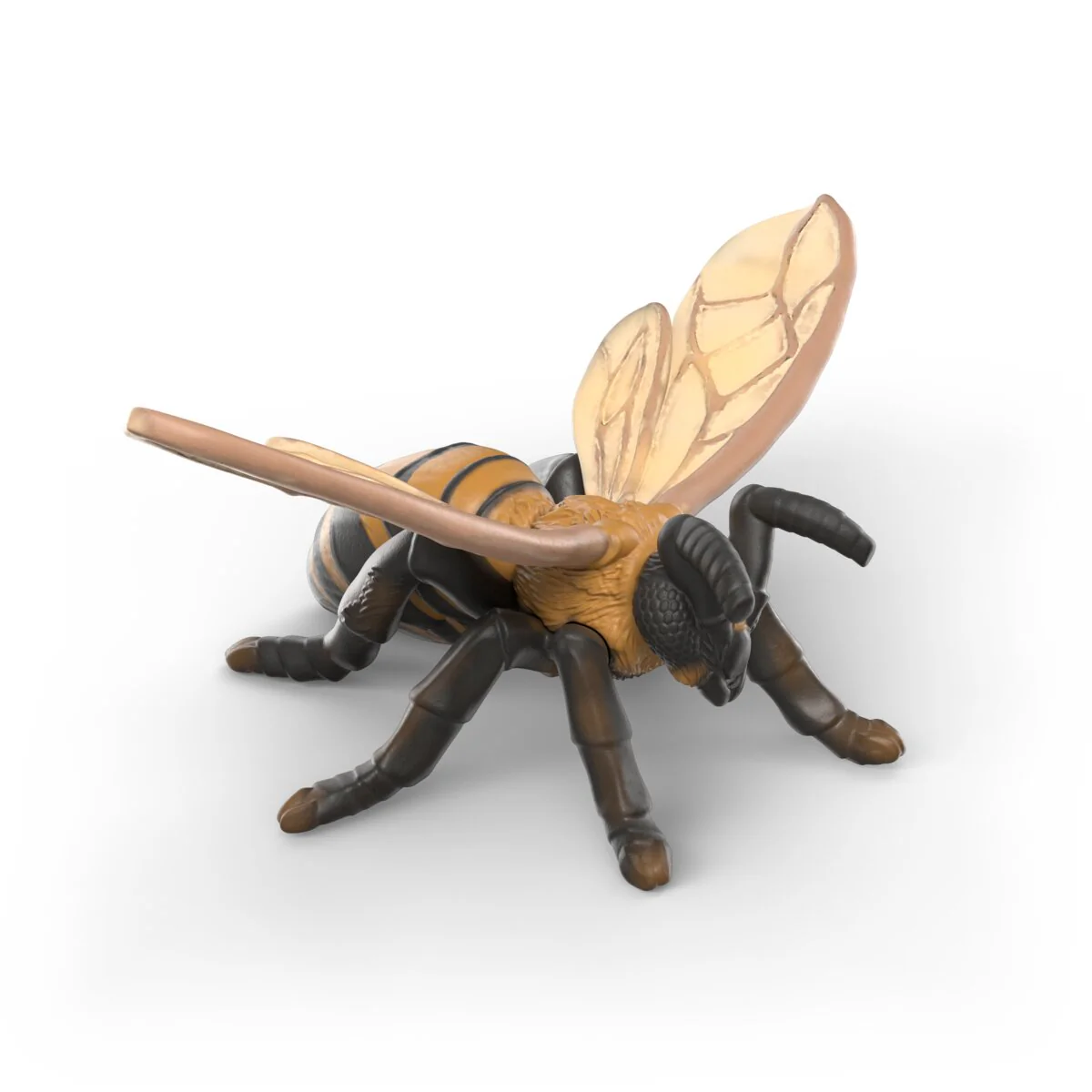 Insects discovery set - Image 7